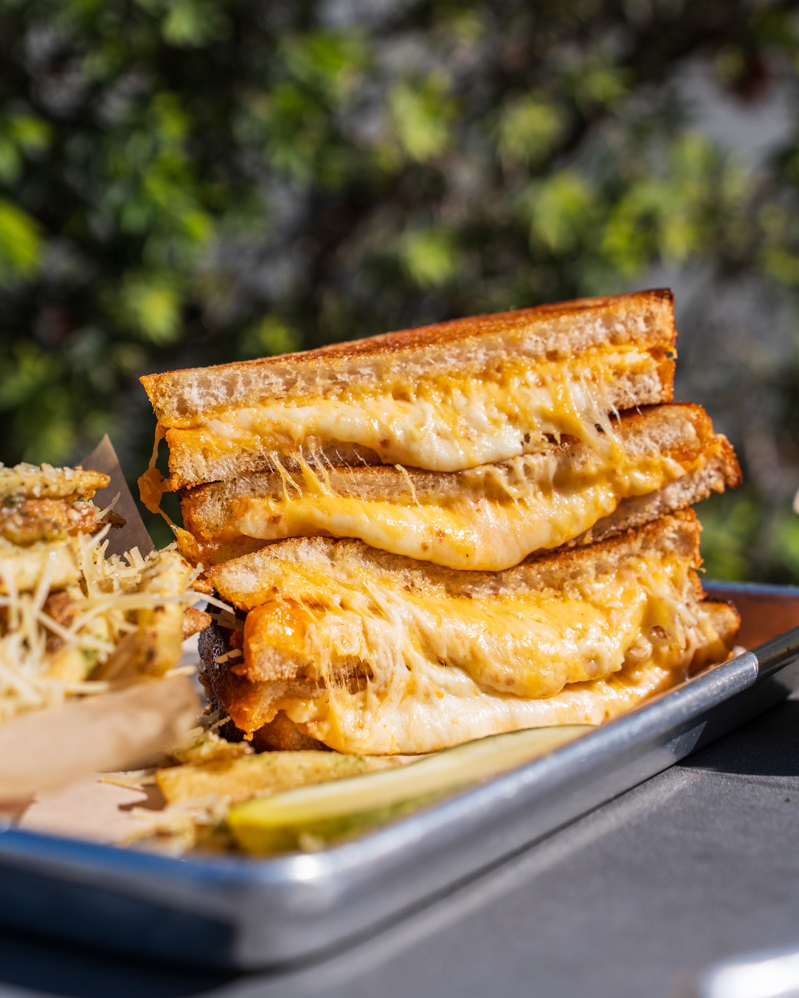 The Melt Tempe Tempe