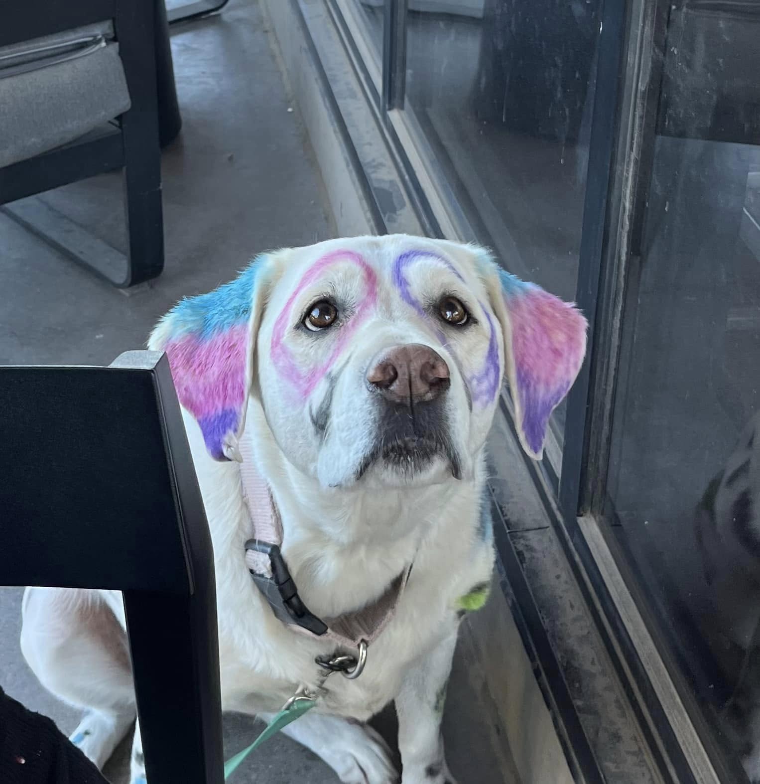 Expressions By Laurie