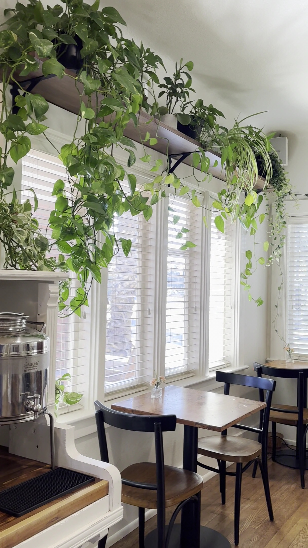 Eden Tea & Coffee House Menu