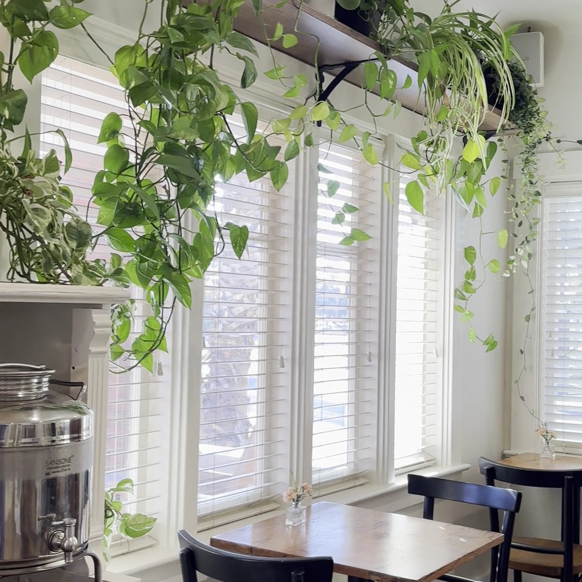 Eden Tea & Coffee House