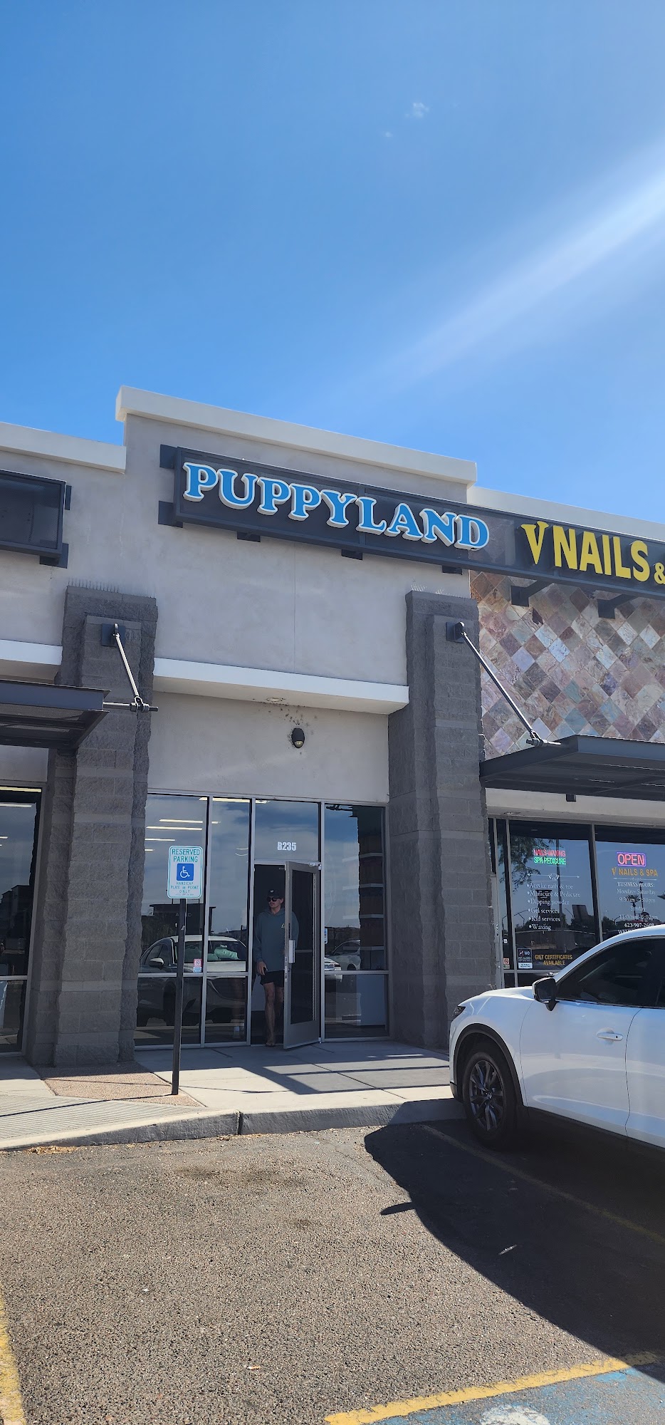 Puppyland Tolleson Tolleson