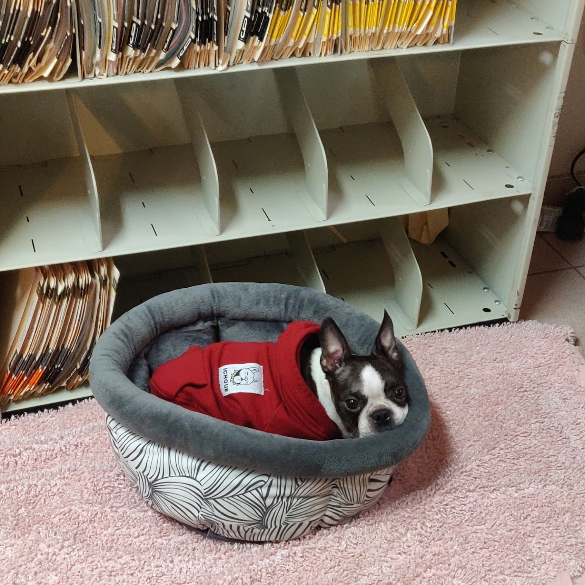 Suffolk Hills Pet Clinic Tucson