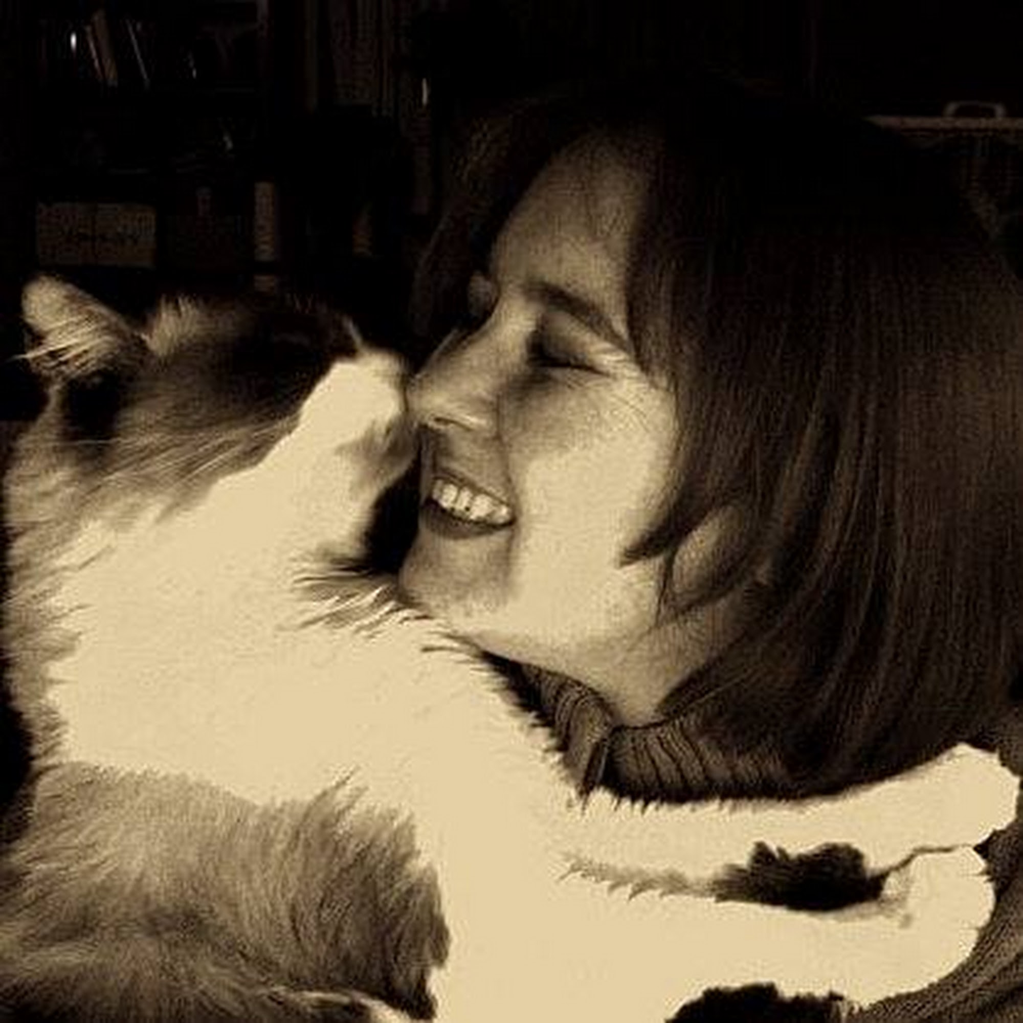 Benarda Veterinary Hospital Tucson