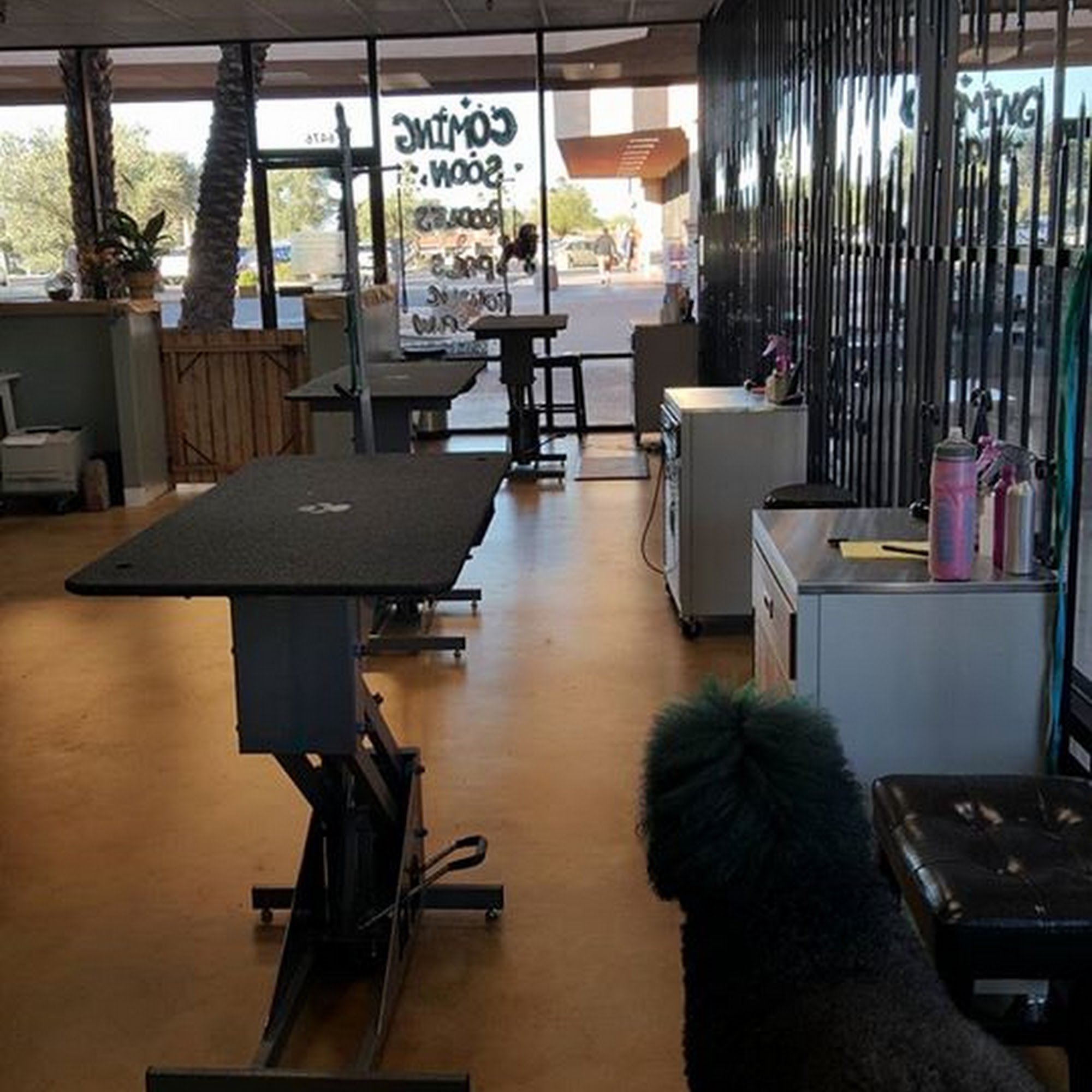 Poodles & Pals Holistic Pet Spaw Tucson