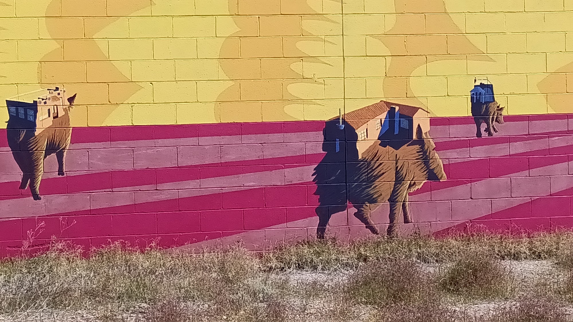 Town & Campus Barber Styling