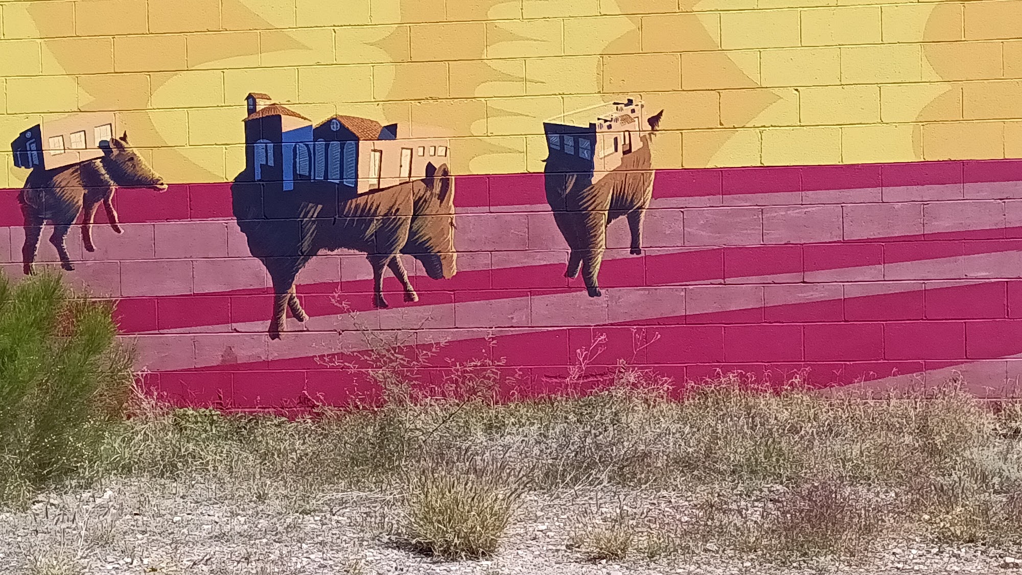 Town & Campus Barber Styling