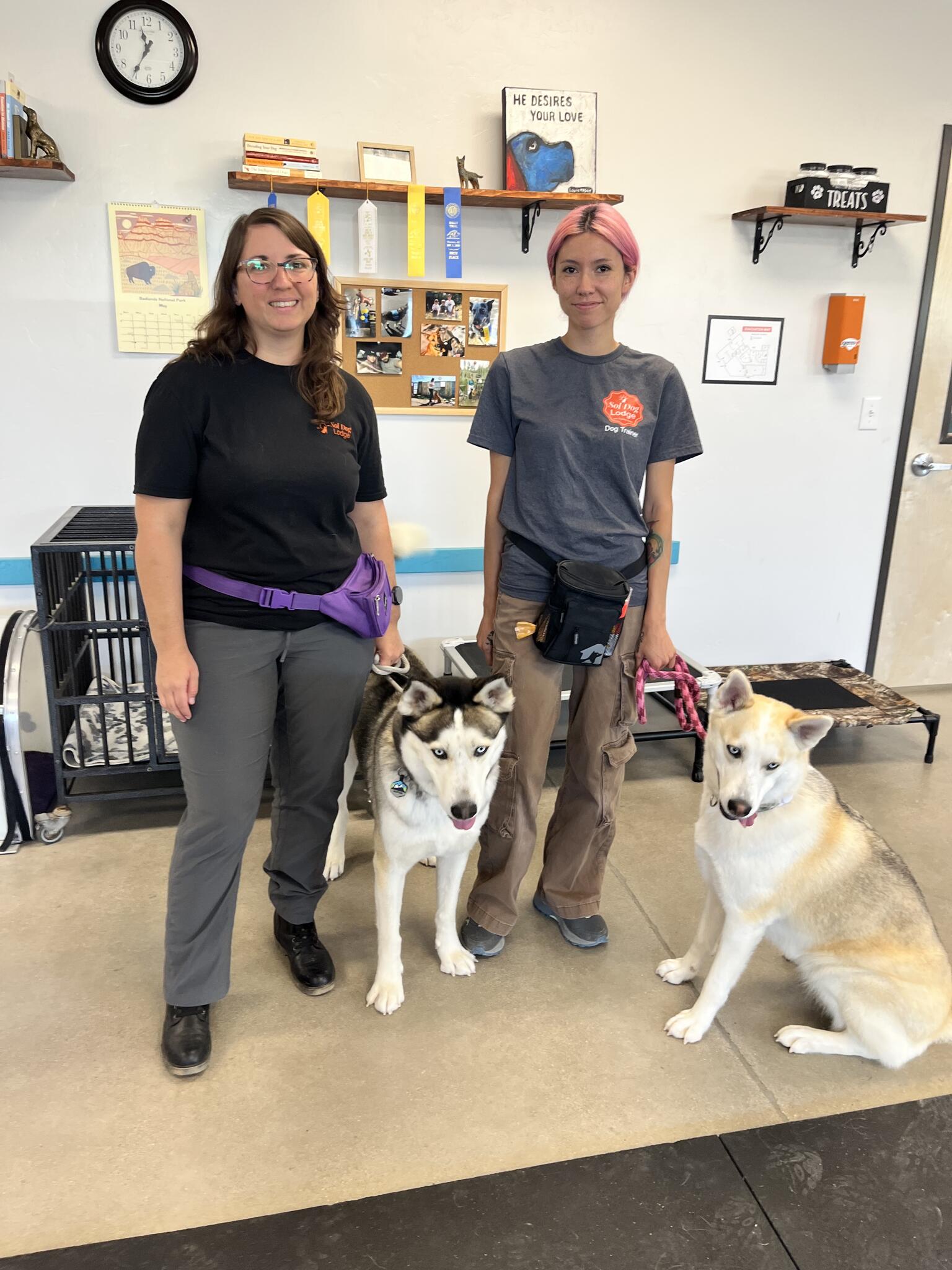 Sol Dog Lodge And Training Center Tucson