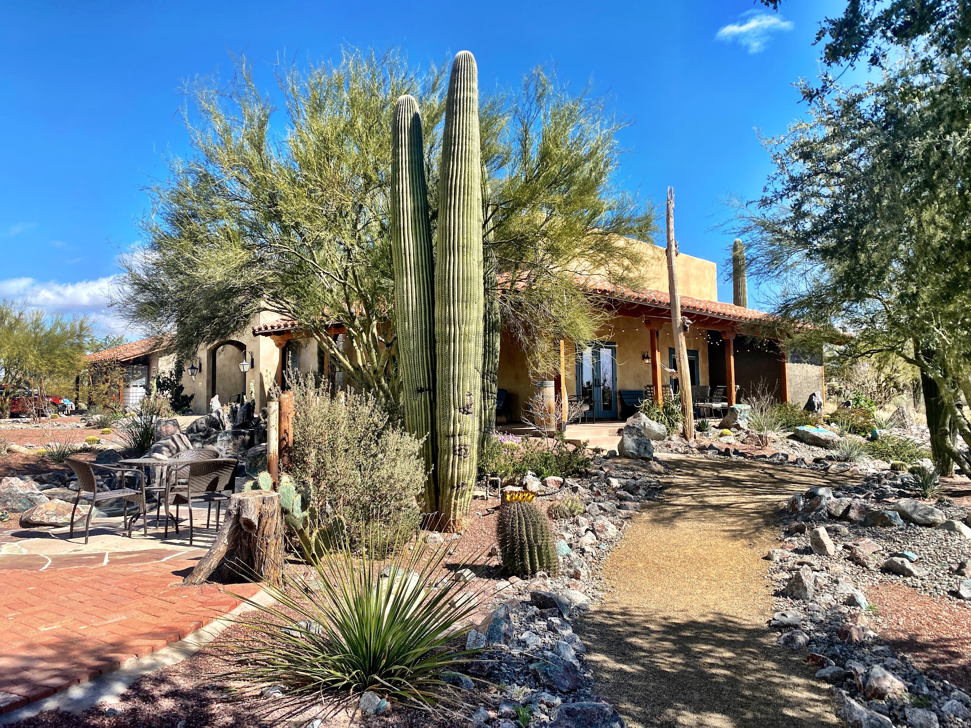 Old Pueblo Cellars Tucson