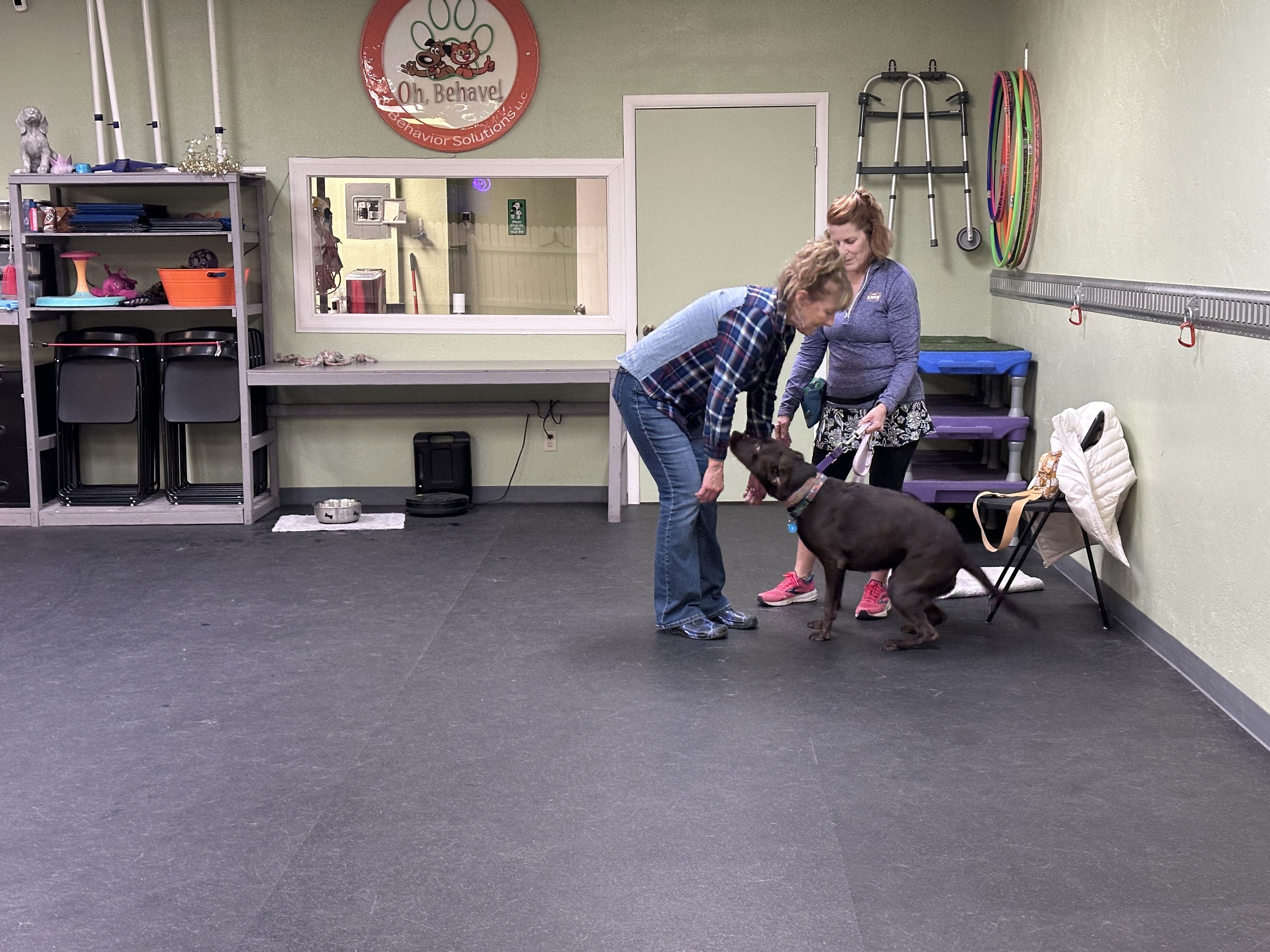 Oh, Behave! Pet Training & Behavior Solutions Tucson