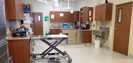 Southwest Veterinary Surgical Service, PC Tucson