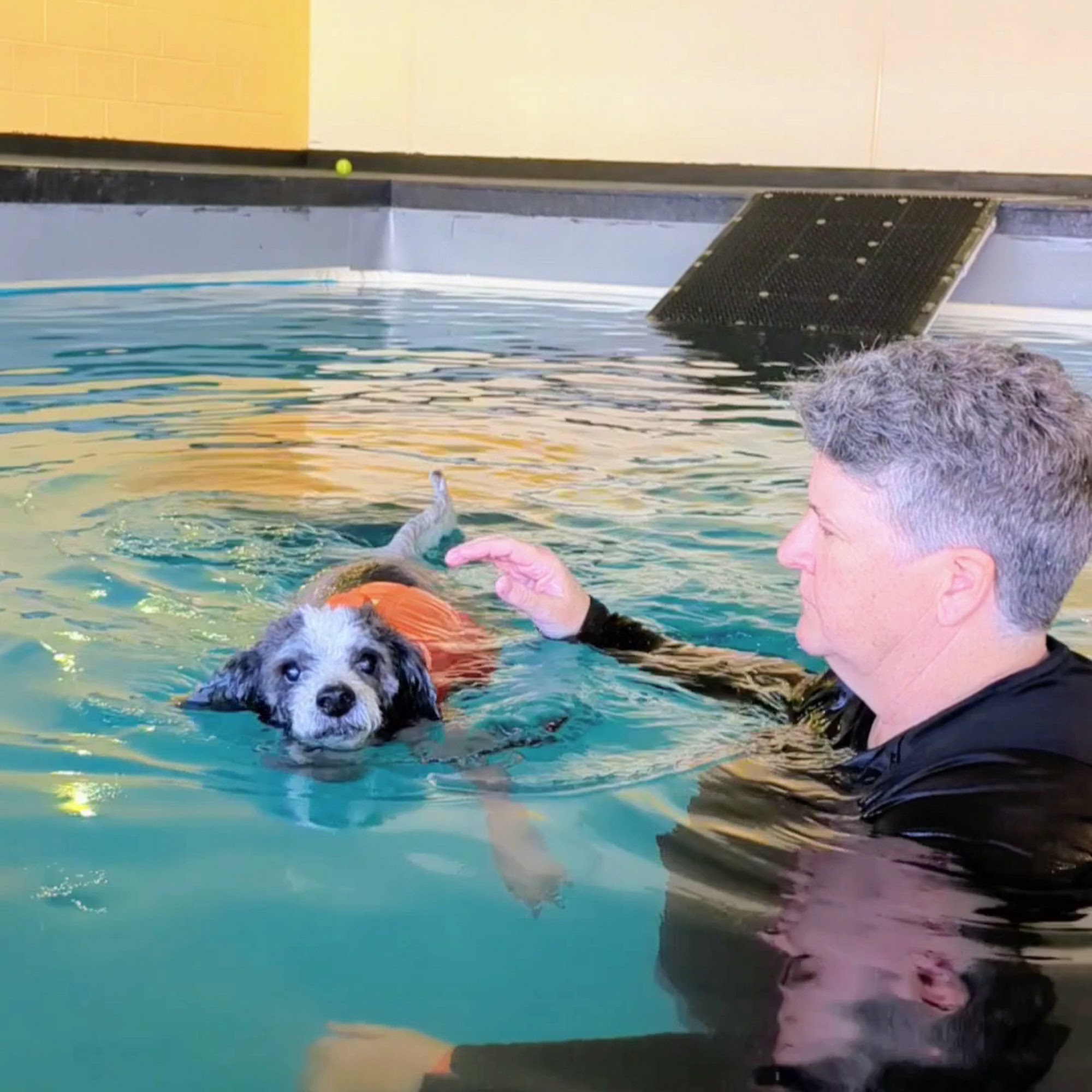 A Loyal Companion Tucson