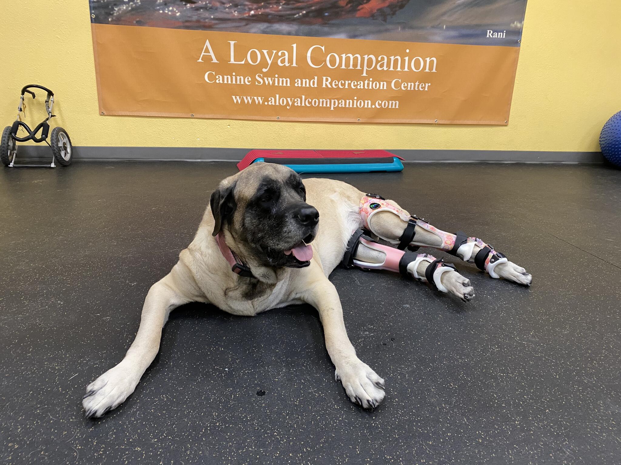 Photo credit: nextdoor