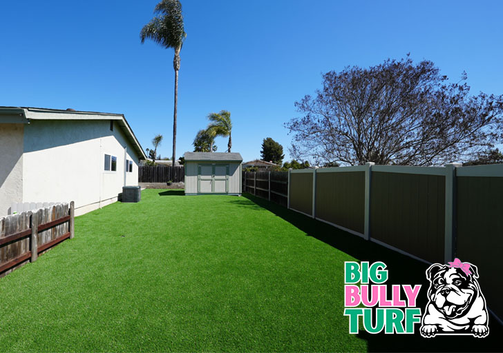 Big Bully Turf