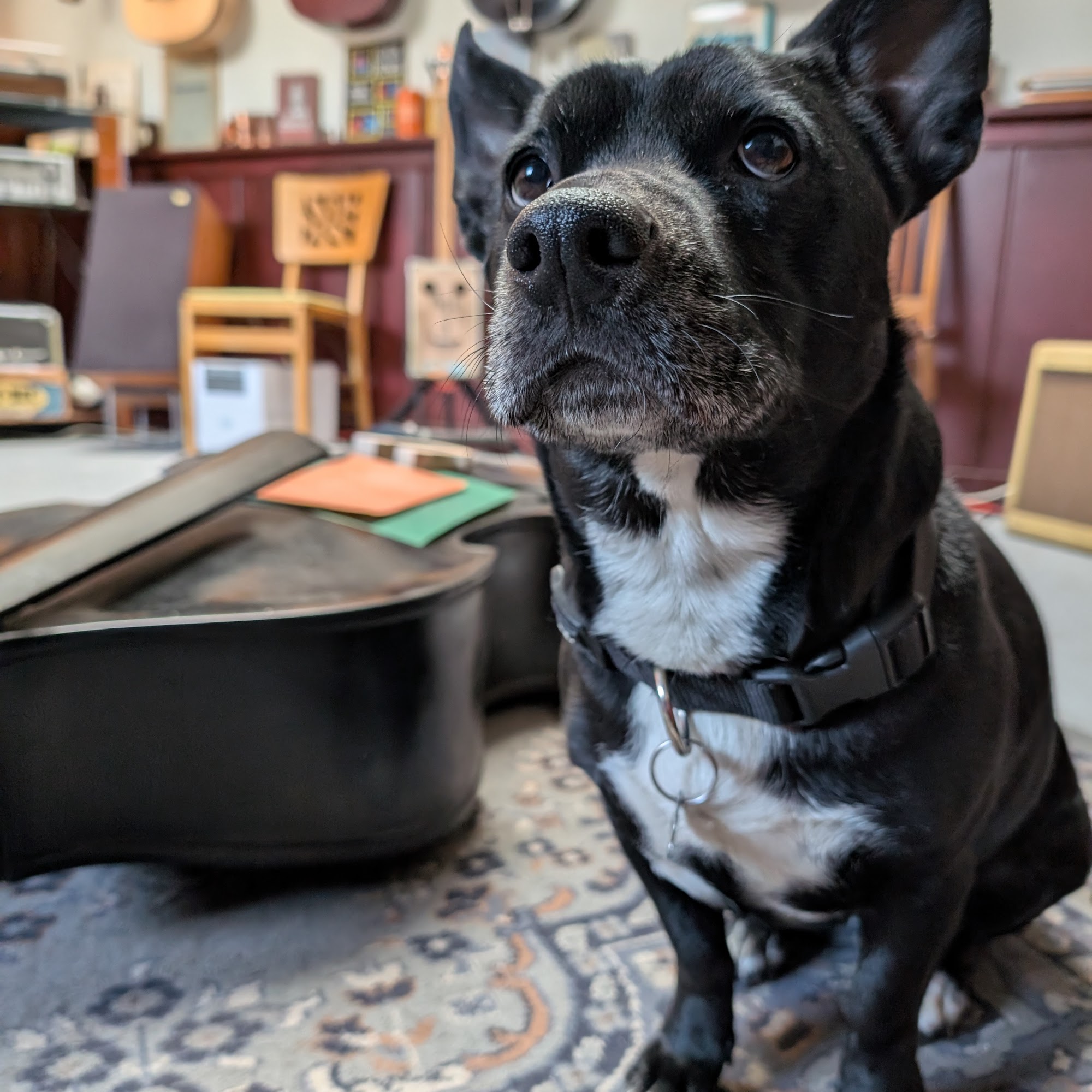 The Sound Post 204 W Grant Rd suite 180, Tucson Arizona 85705