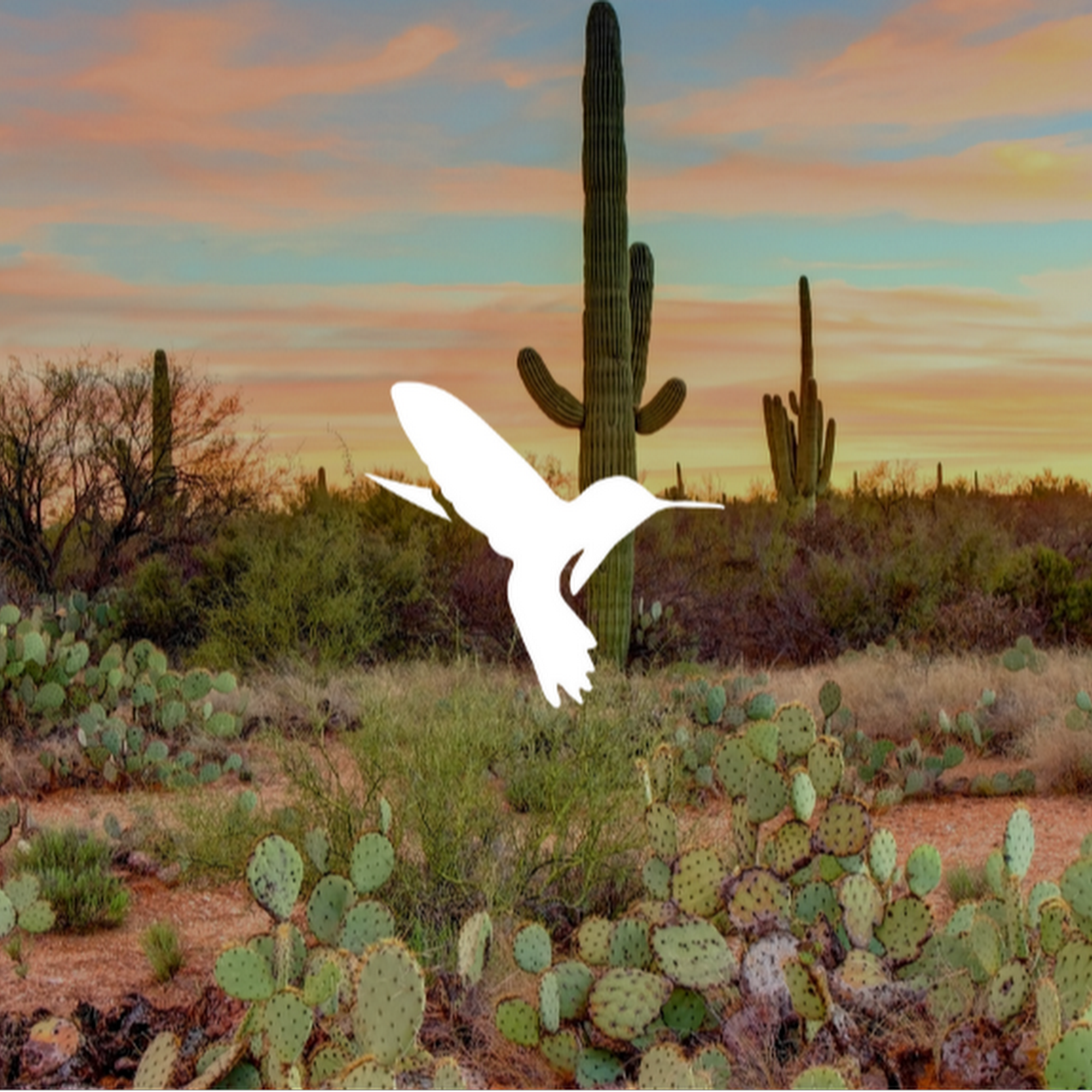 Emblem Hospice Tucson