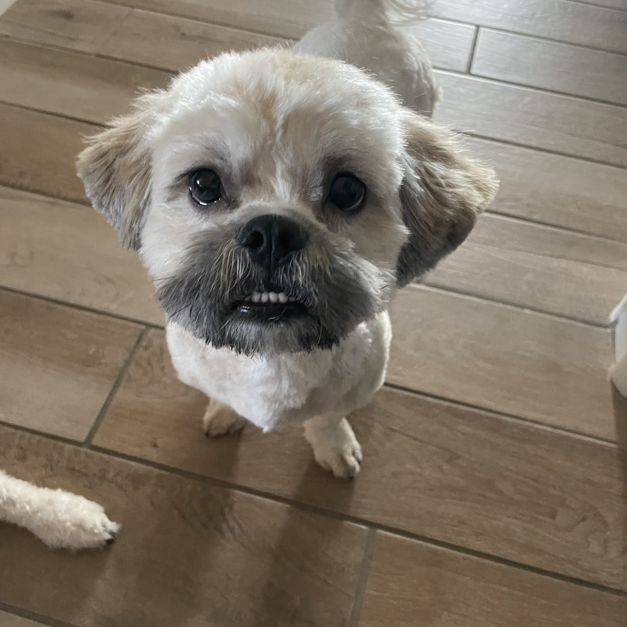 Bark N' Bubbles Vail