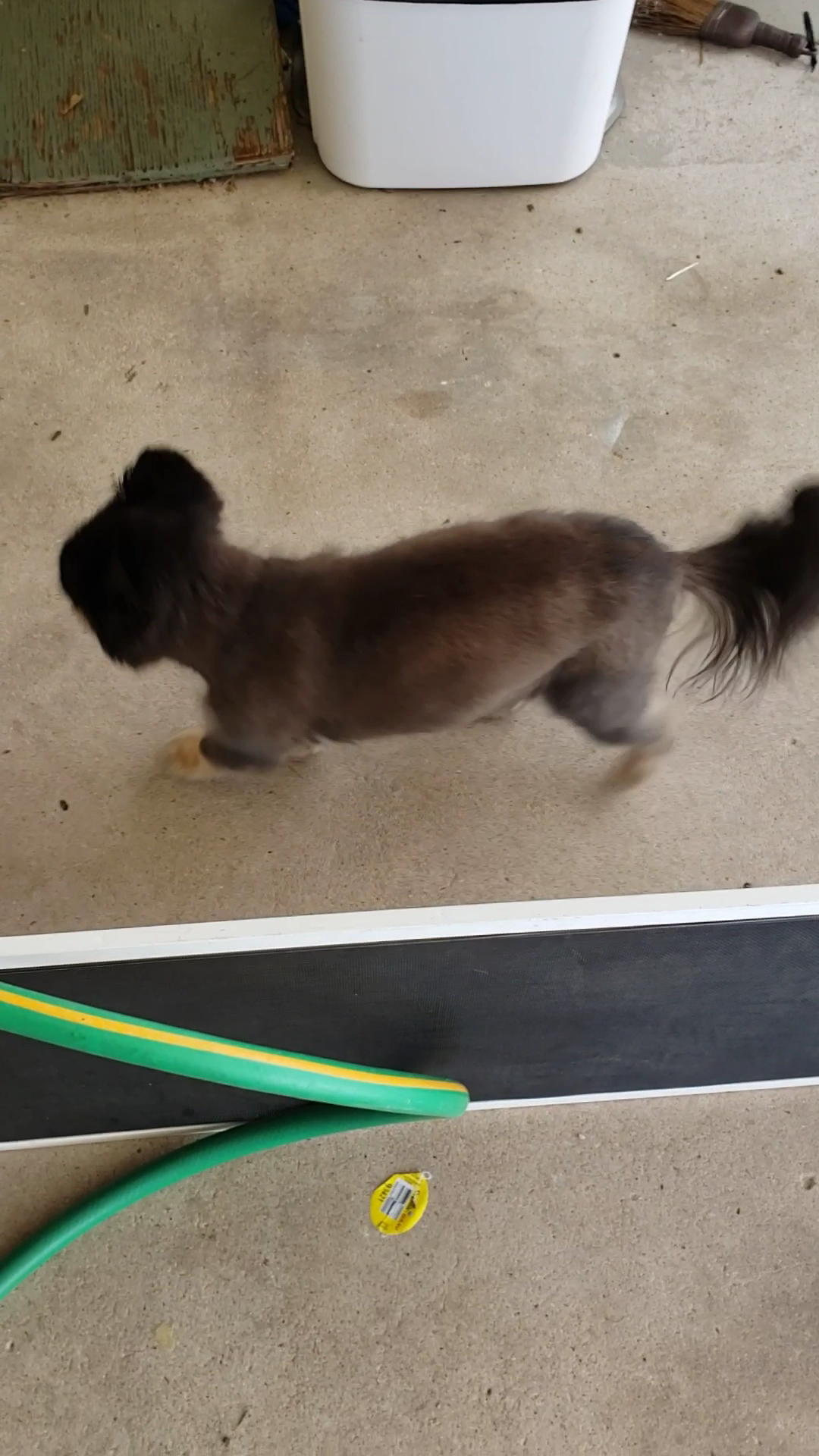 Humane Society Of Wickenburg Wickenburg