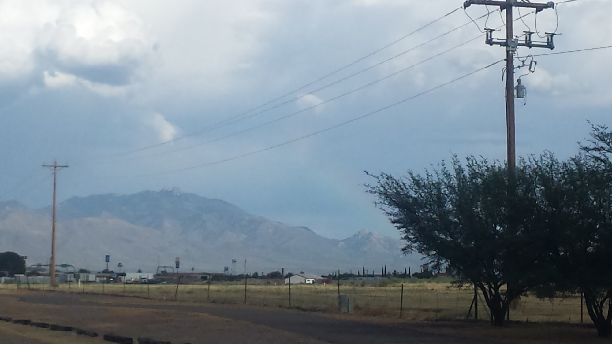 Cochise County Animal Hospital Willcox