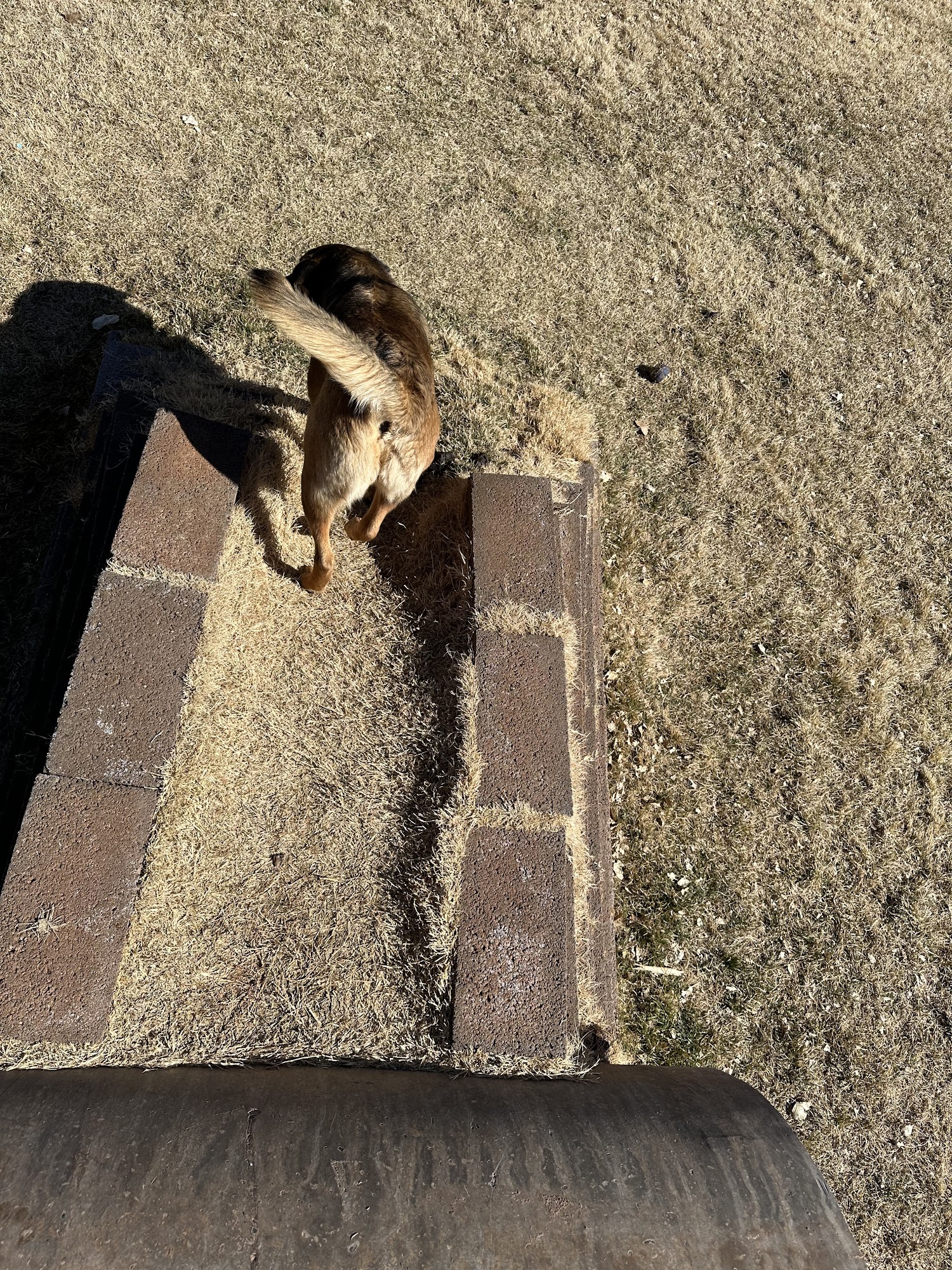 Winslow Bark Park Winslow