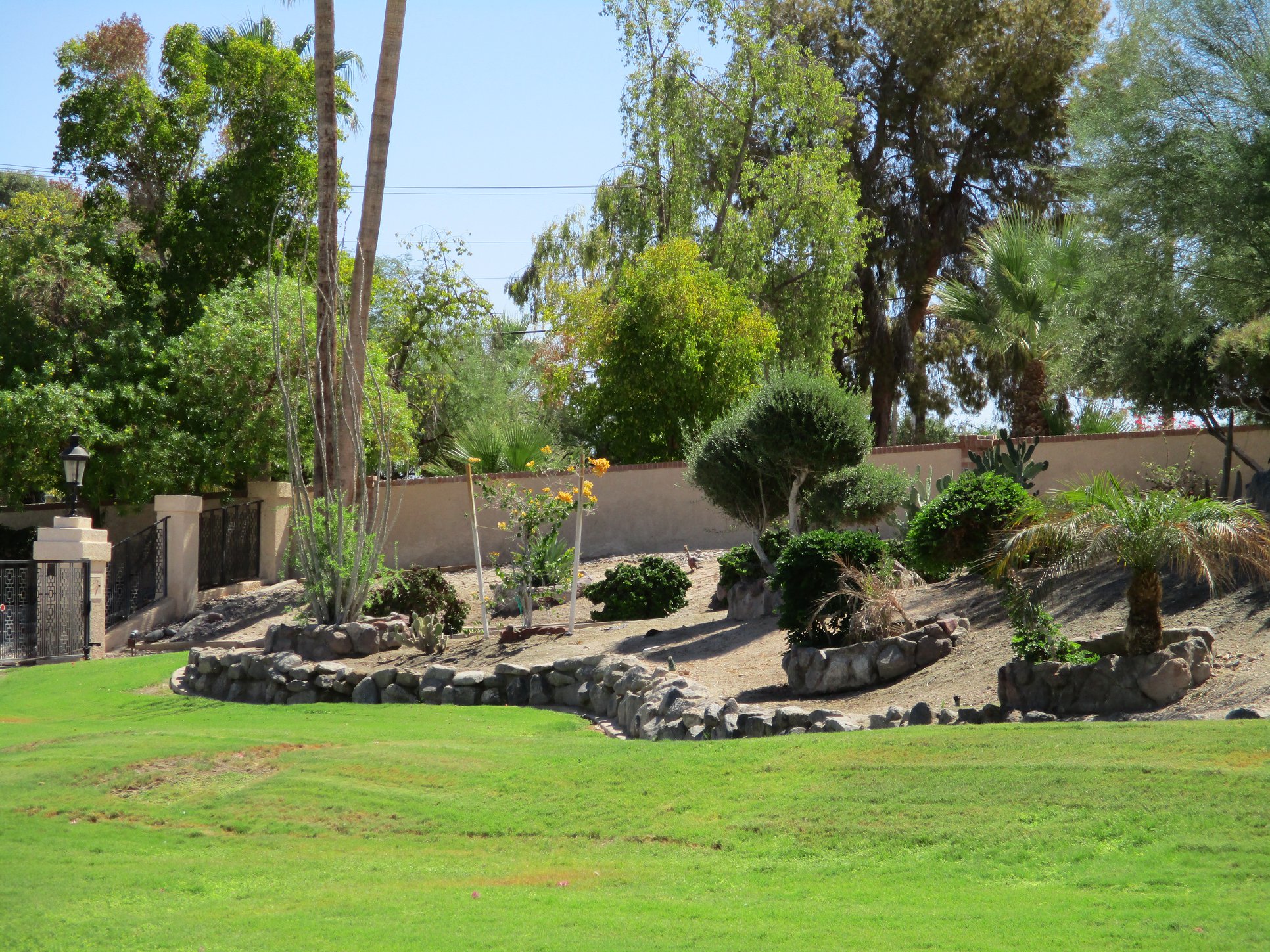 Martin's Landscaping Services