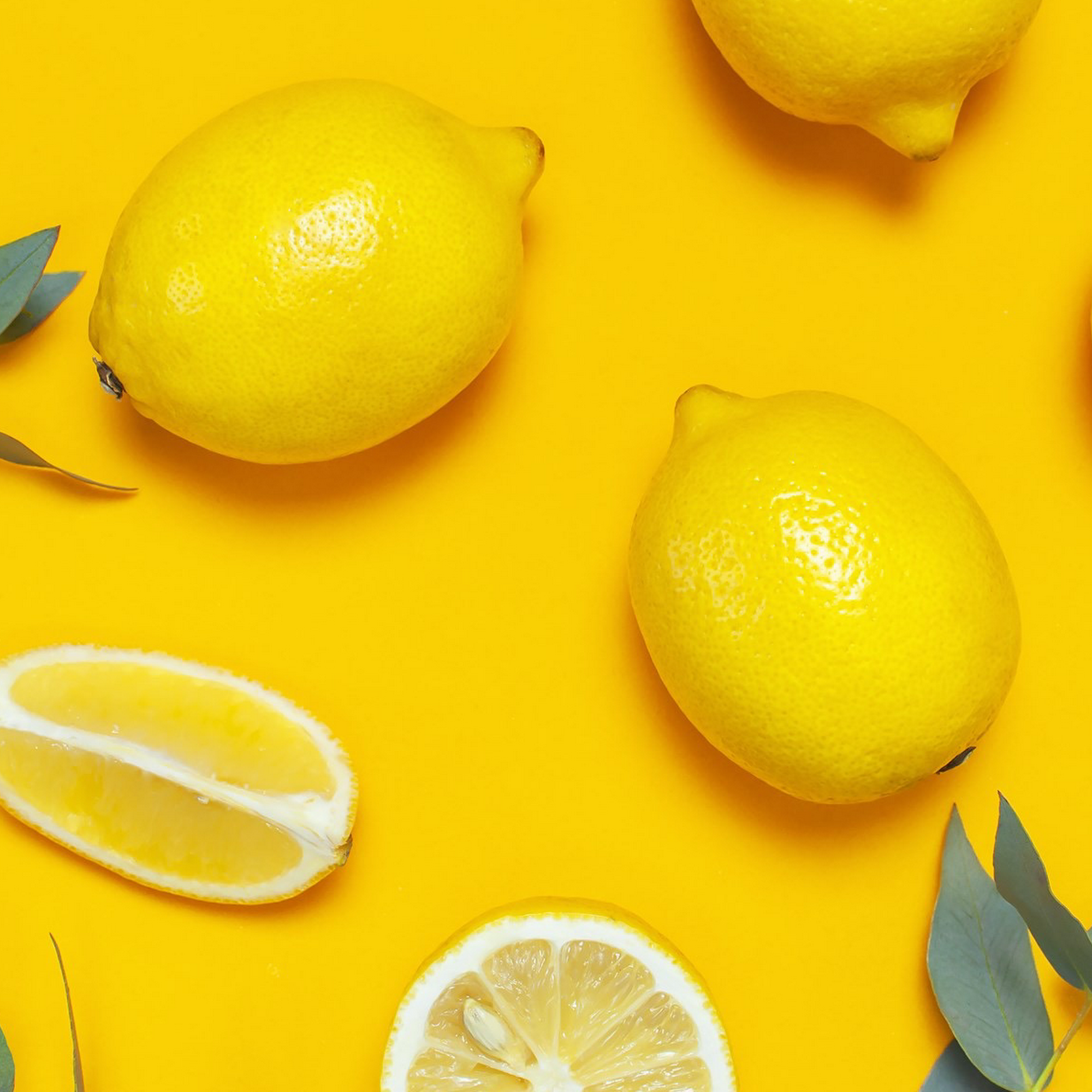 Fresh Lemonade Esthetics