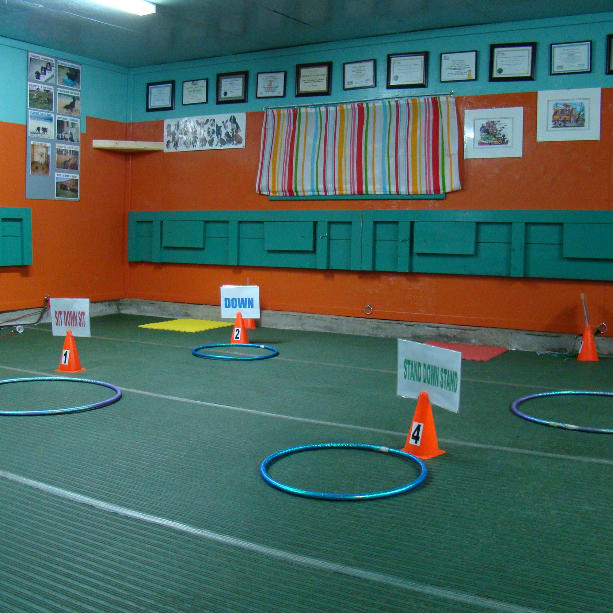 Gentle Puppy Training Abbotsford