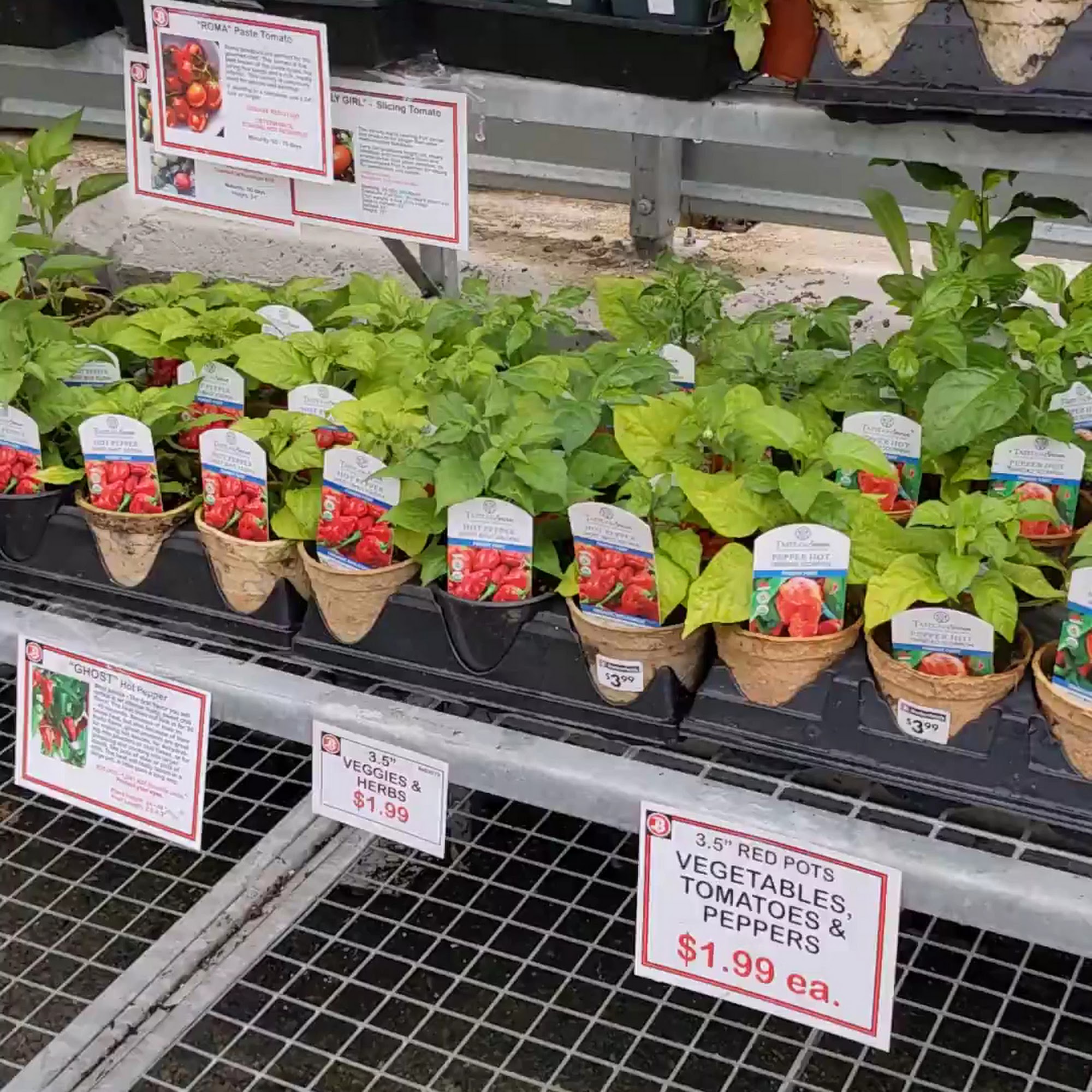 Buckerfield's Abbotsford Abbotsford