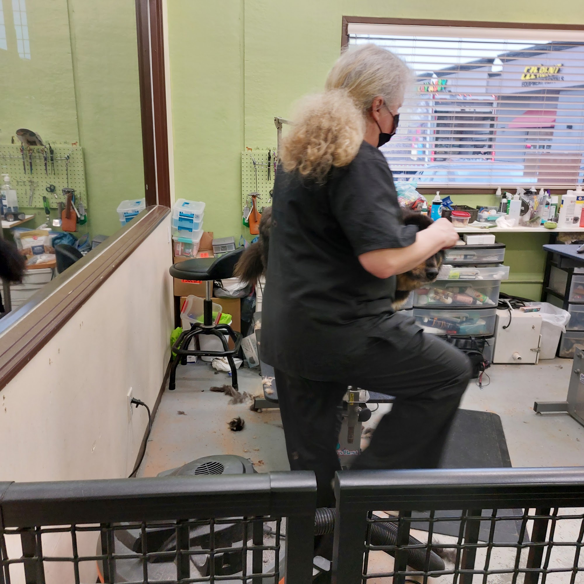 Oly's Pet Connection Abbotsford