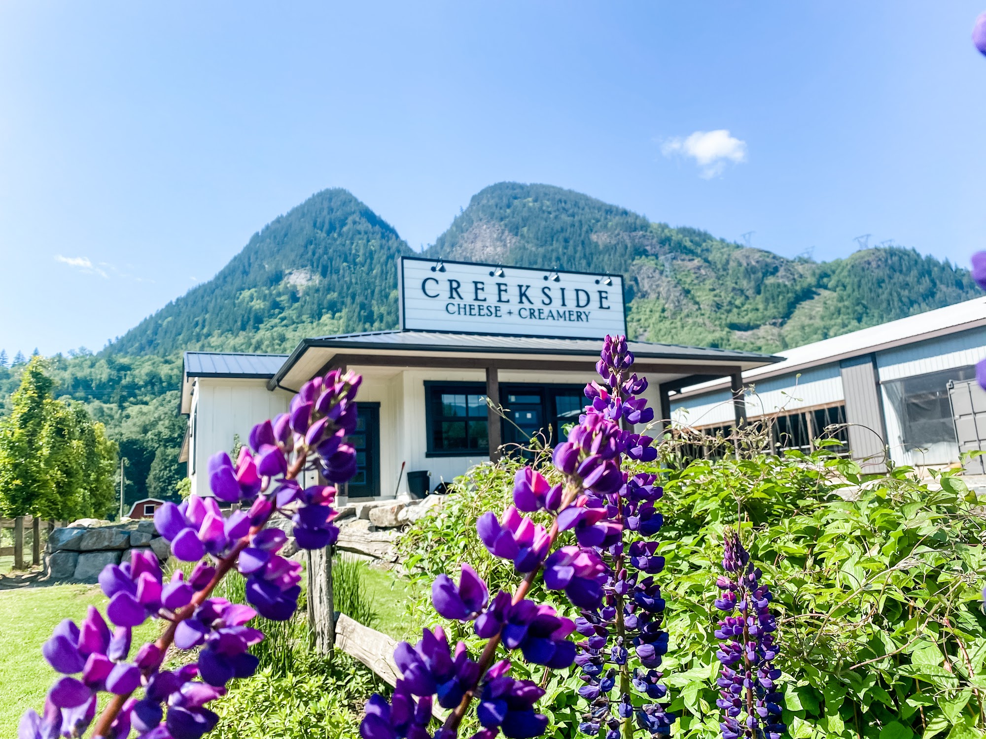 Creekside Cheese + Creamery Agassiz