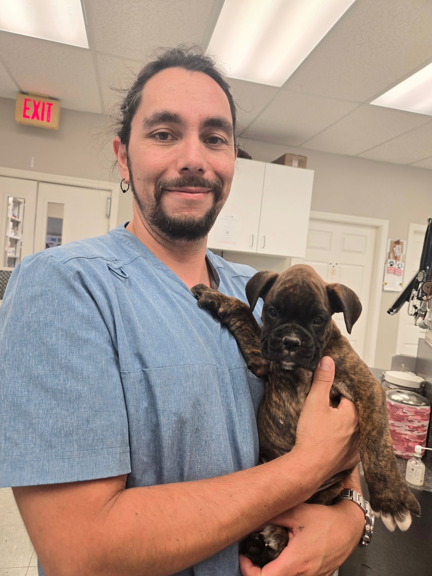 Armstrong Veterinary Clinic Armstrong