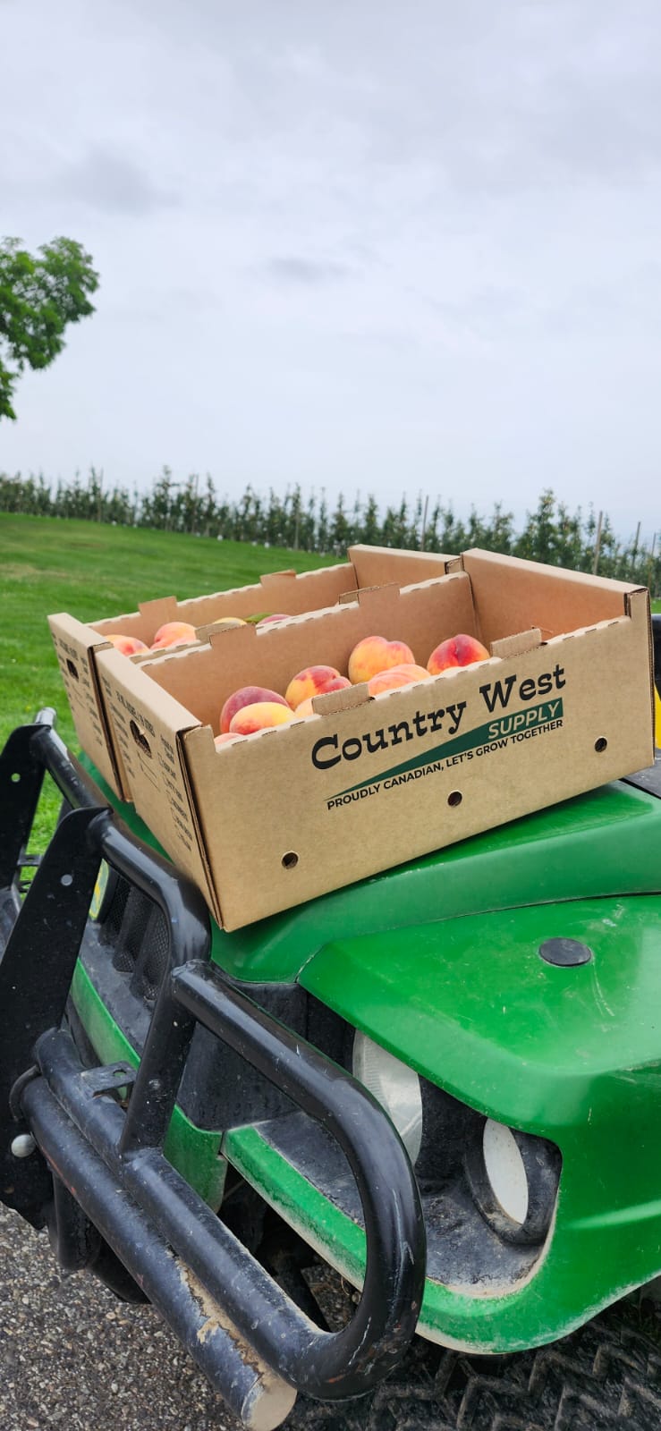 Country West Supply Armstrong