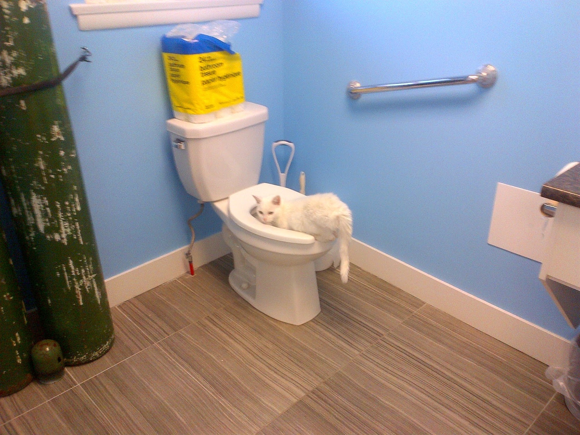 Central Park Animal Hospital Burnaby