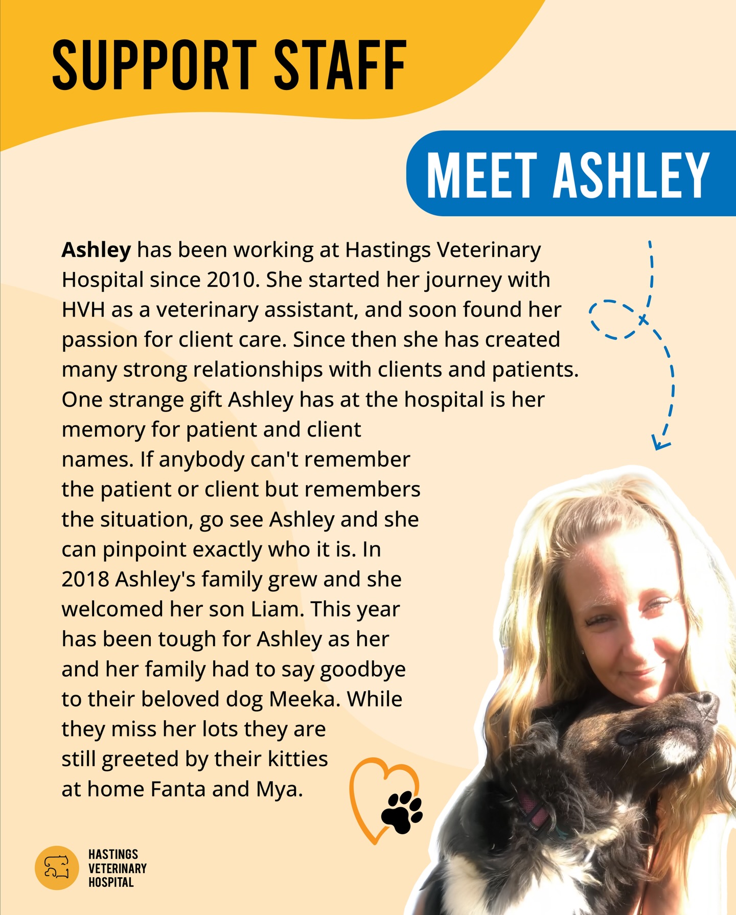 Hastings Veterinary Hospital Burnaby