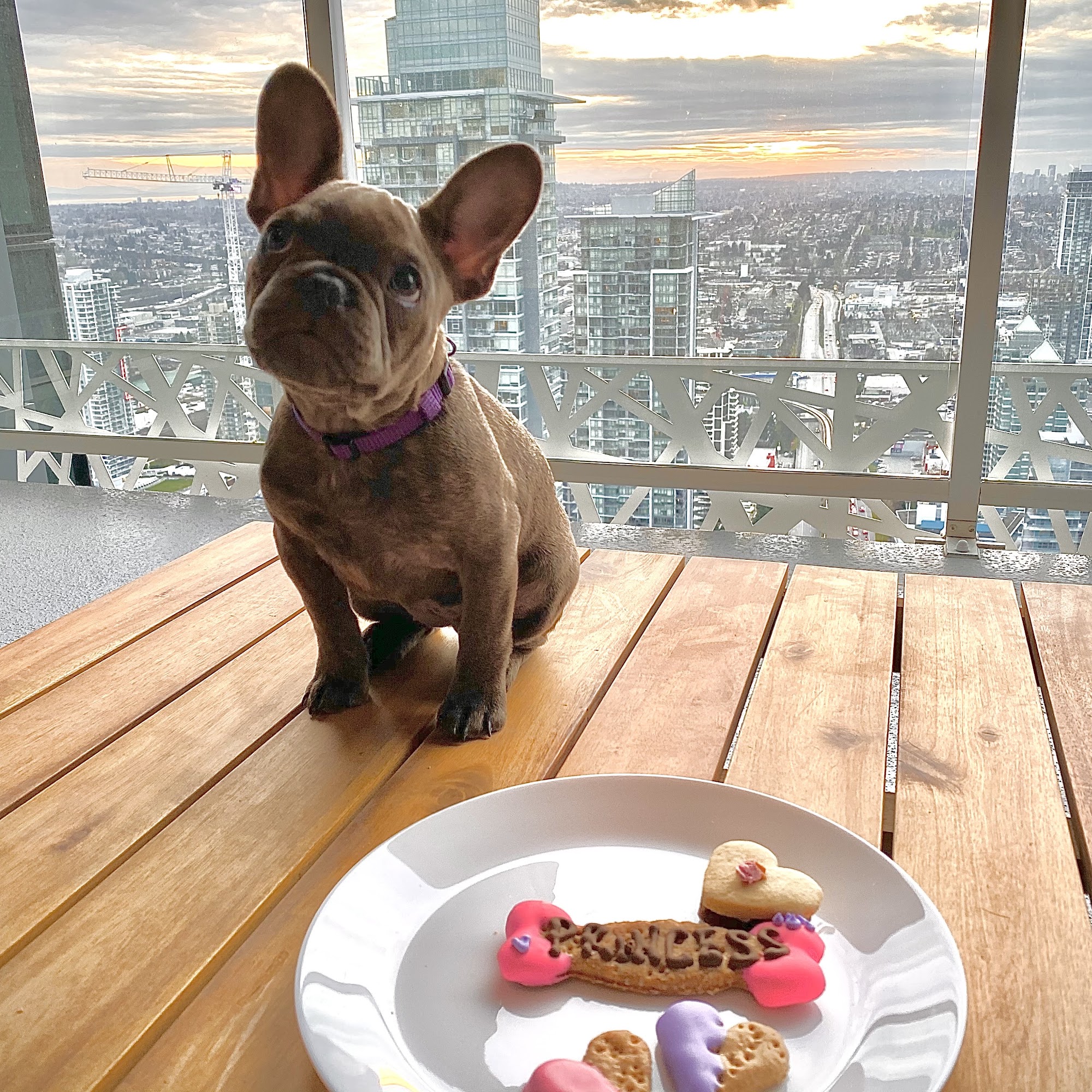 Big Dog Little Dog Bakery Burnaby