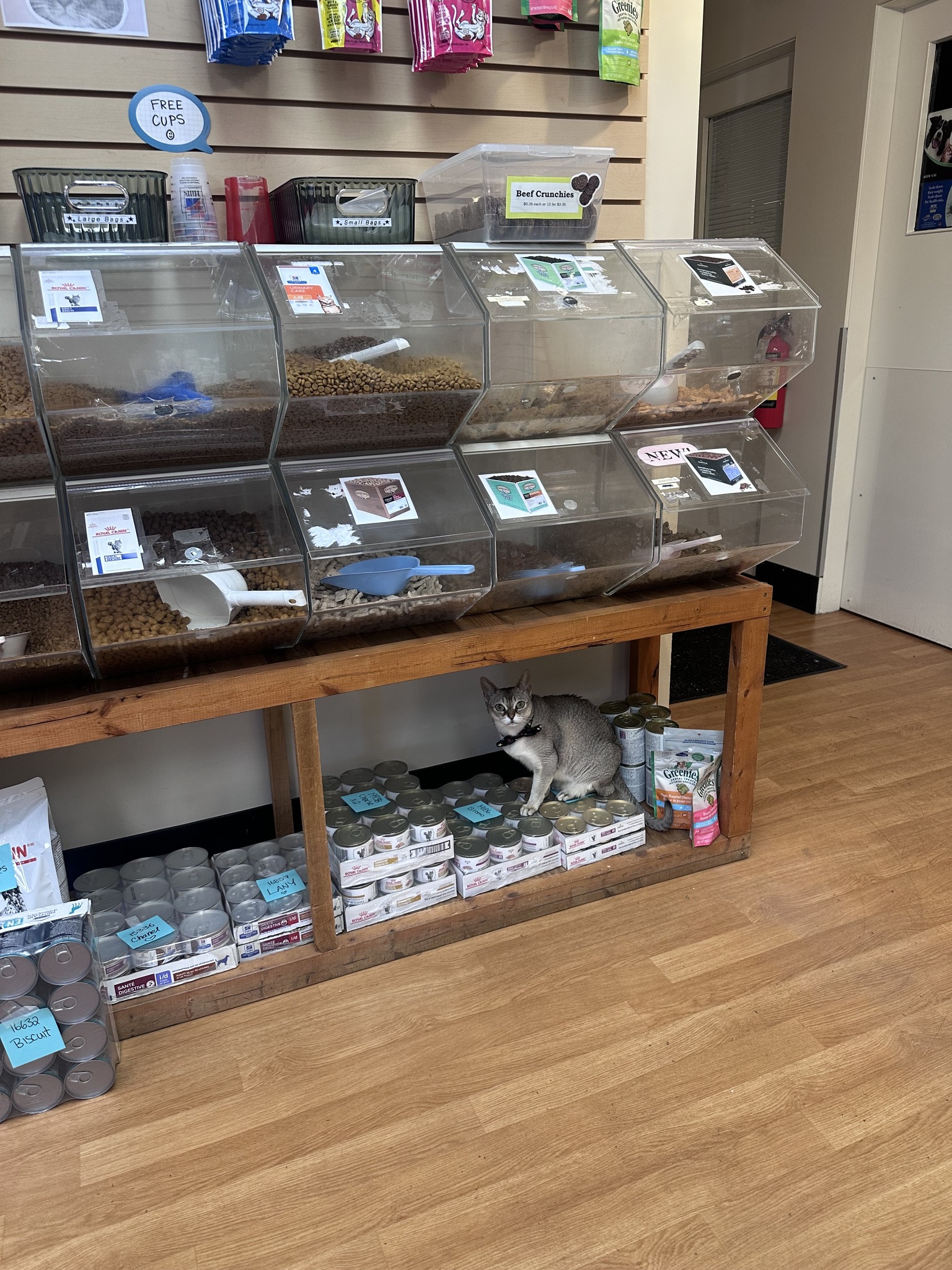 Burnaby New Westminster Animal Hospital Burnaby