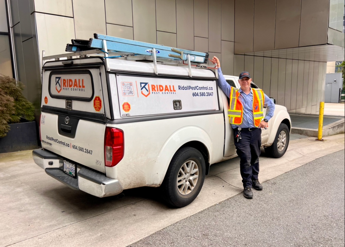 Photo credit: yellowpages.ca