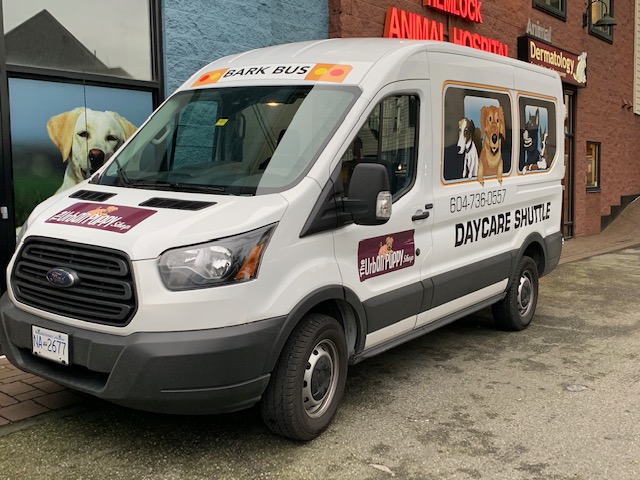 The Urban Puppy Shop Burnaby