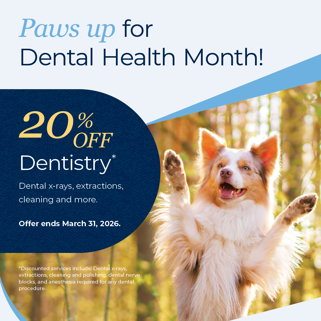 Campbell River Veterinary Hospital Campbell River