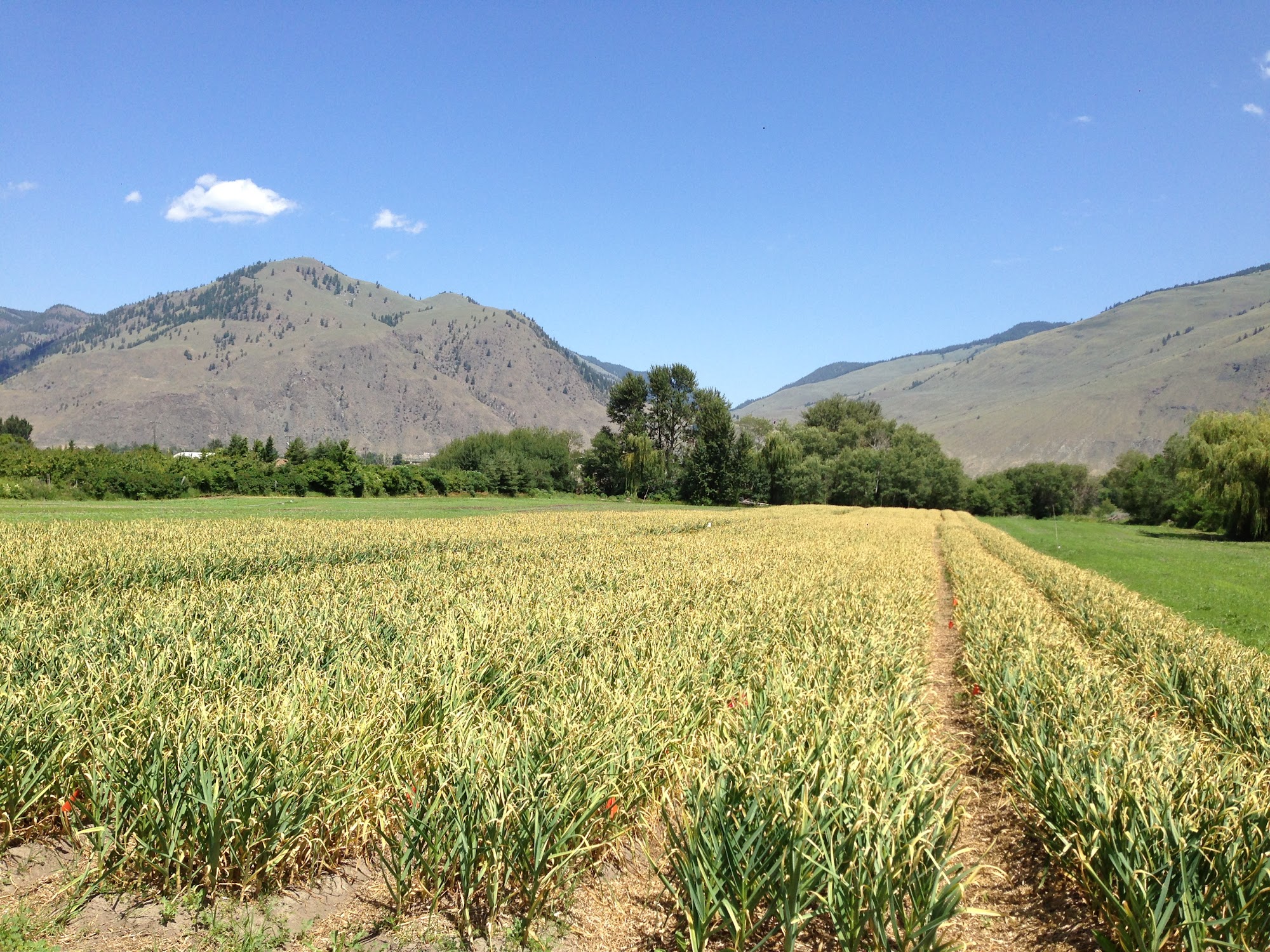 farmersdotter organics Menu