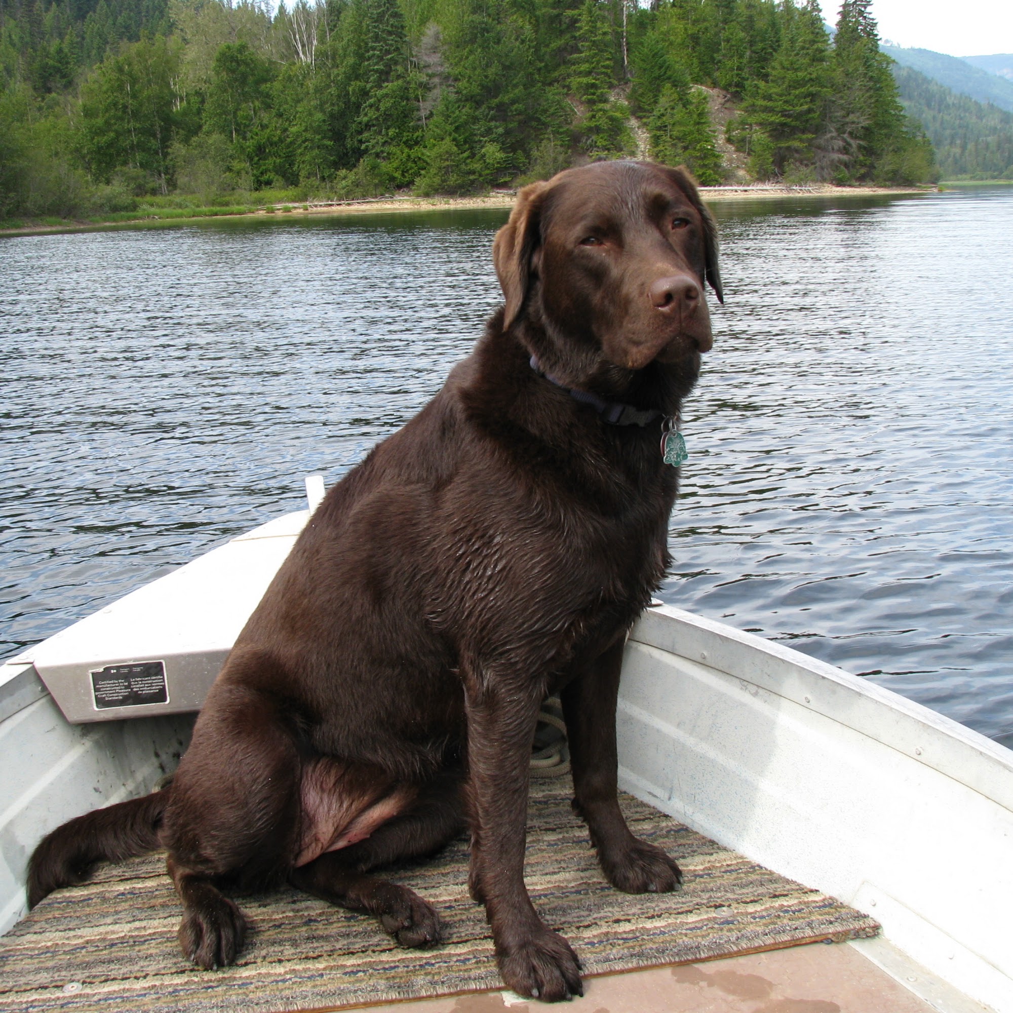 Tri-V Pet Foods Ltd Chilliwack