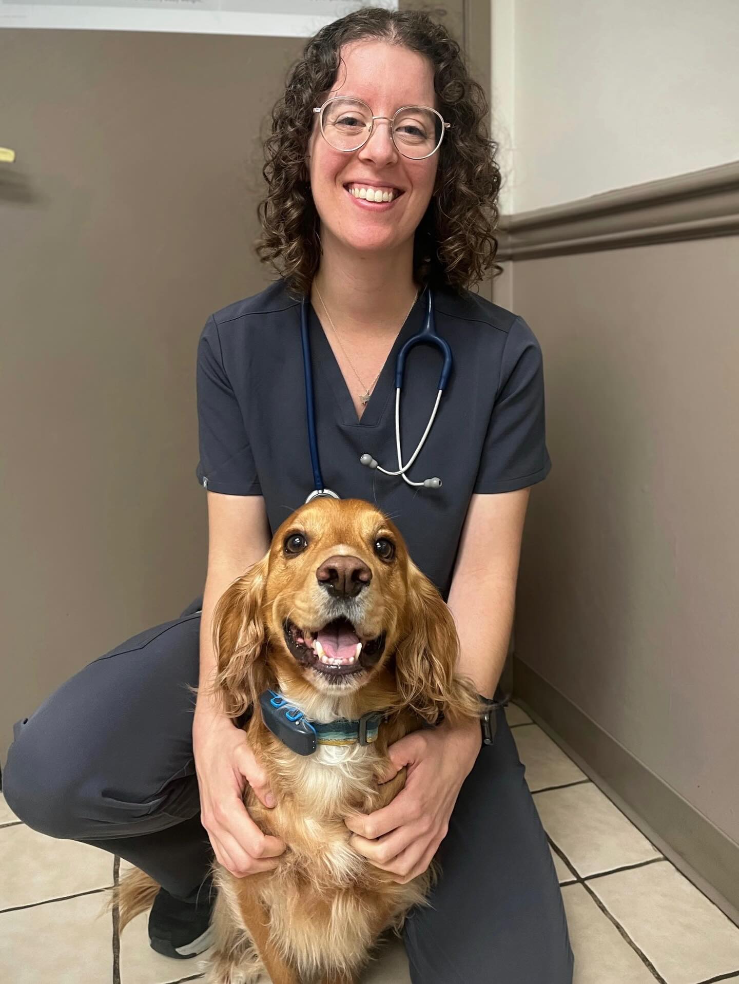 Eagle Ridge Animal & Bird Hospital Coquitlam