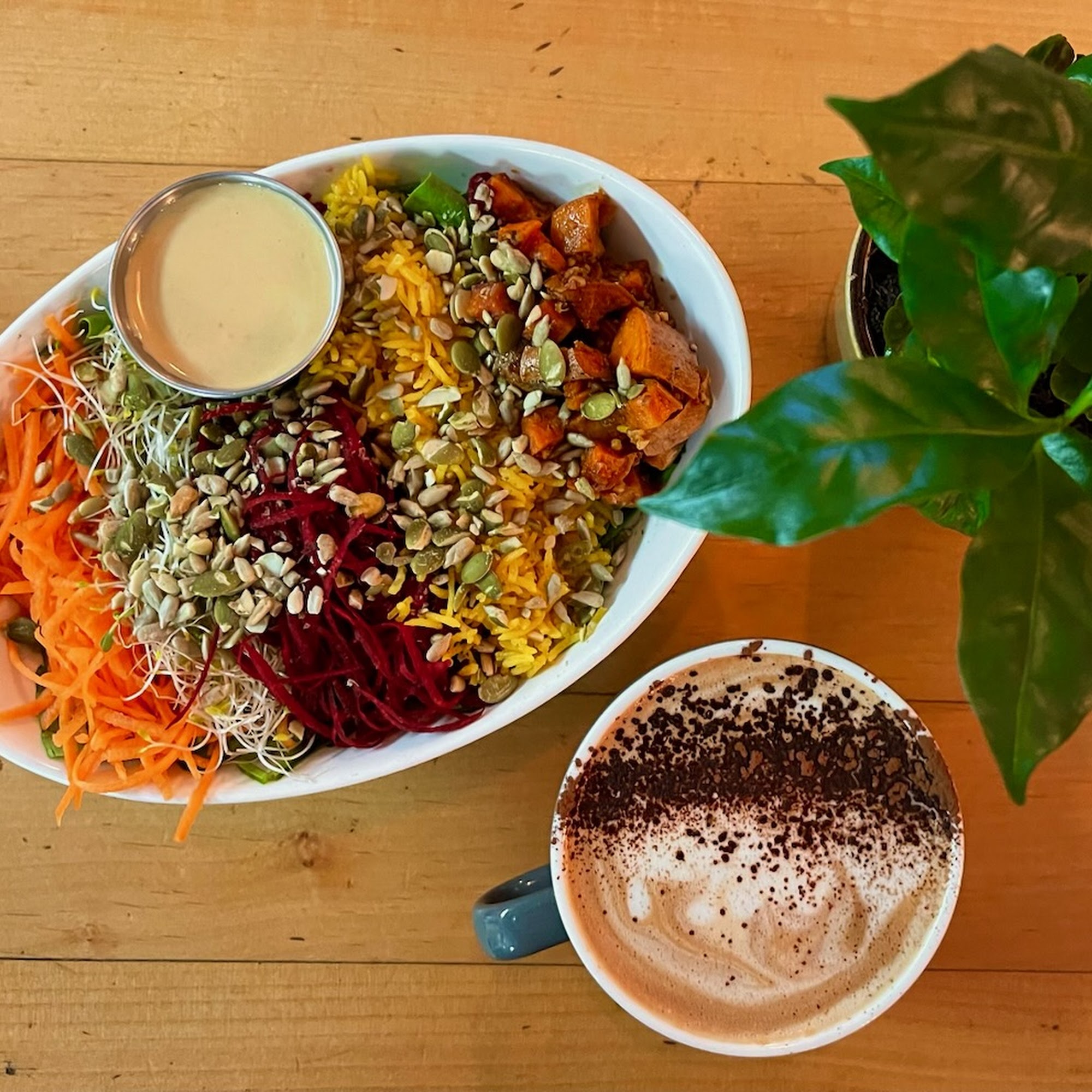 Mudsharks Coffee Bar Courtenay