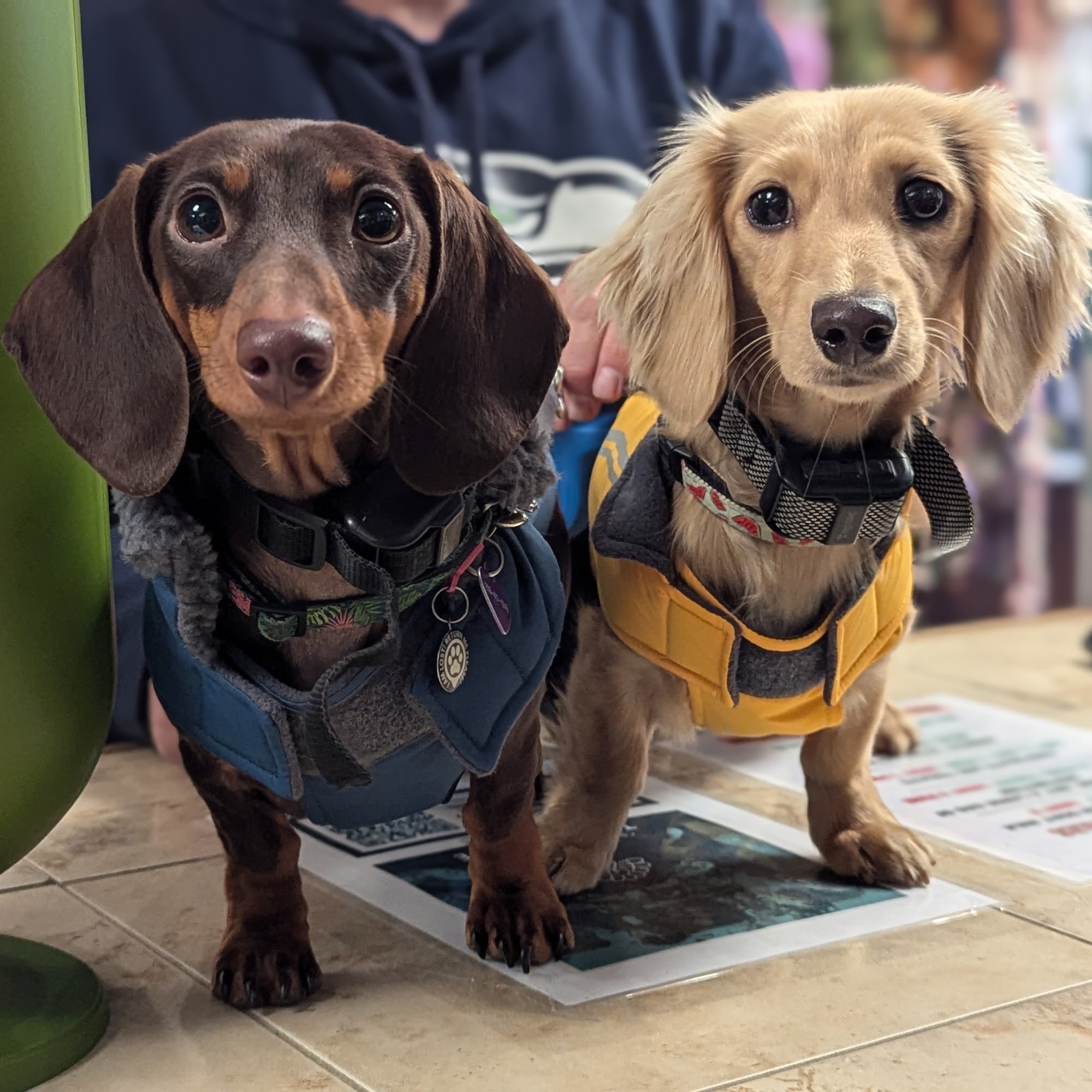 The Paw Shop - Healthy Pet Foods and Supplies Cranbrook