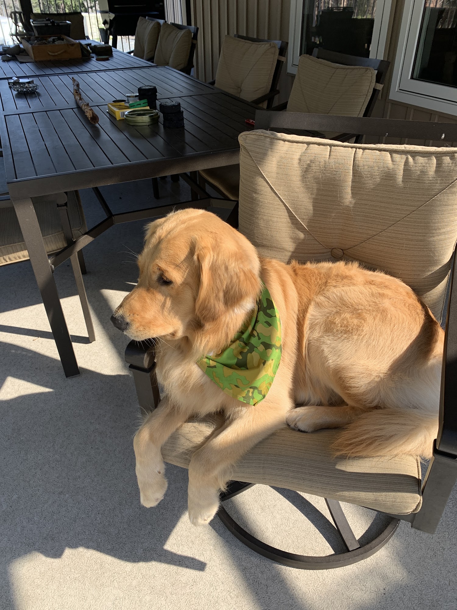 Playpen Pet Boarding & Grooming Cranbrook