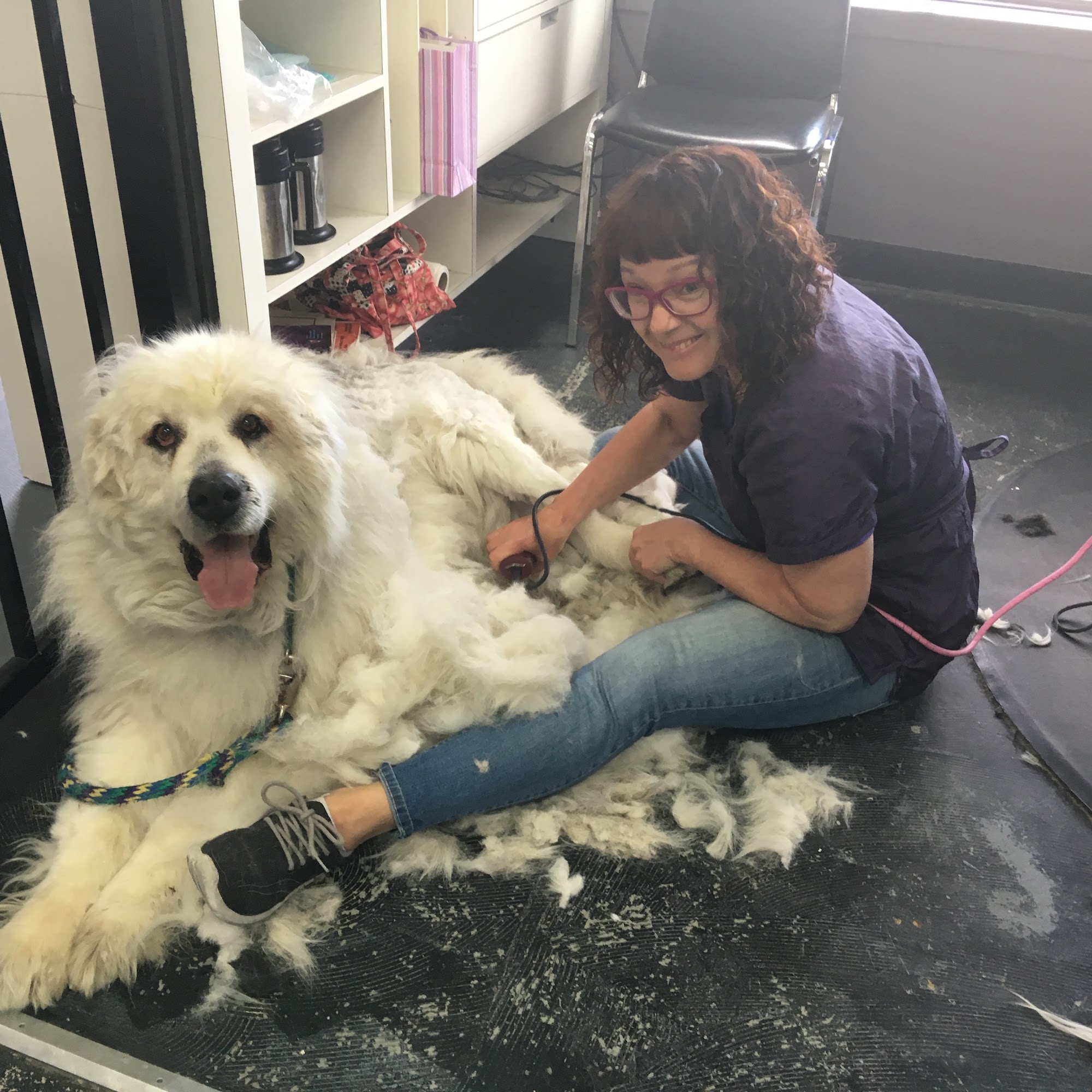 Clip Joint Cranbrook