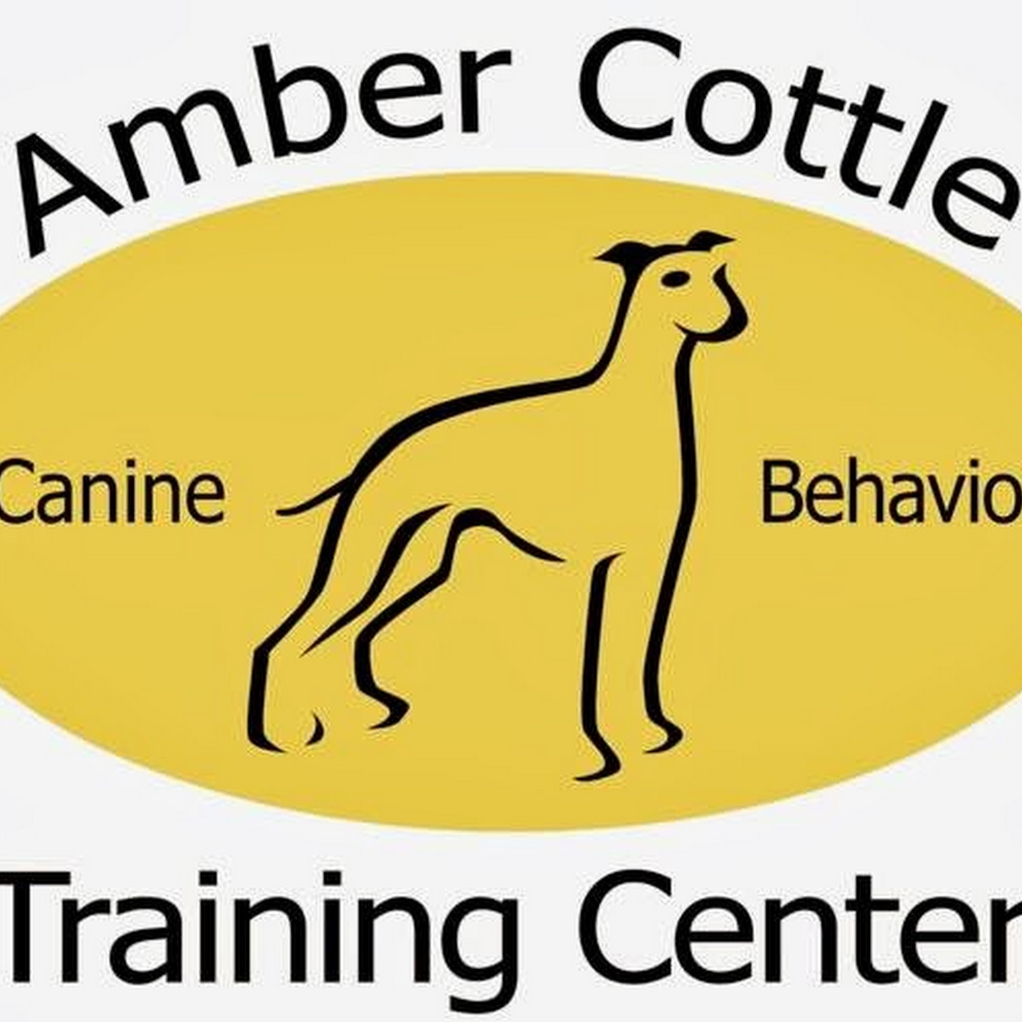 Amber Cottle Canine Training Delta