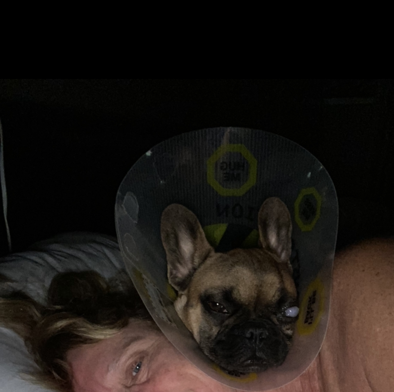 Central Cowichan Animal Hospital Duncan