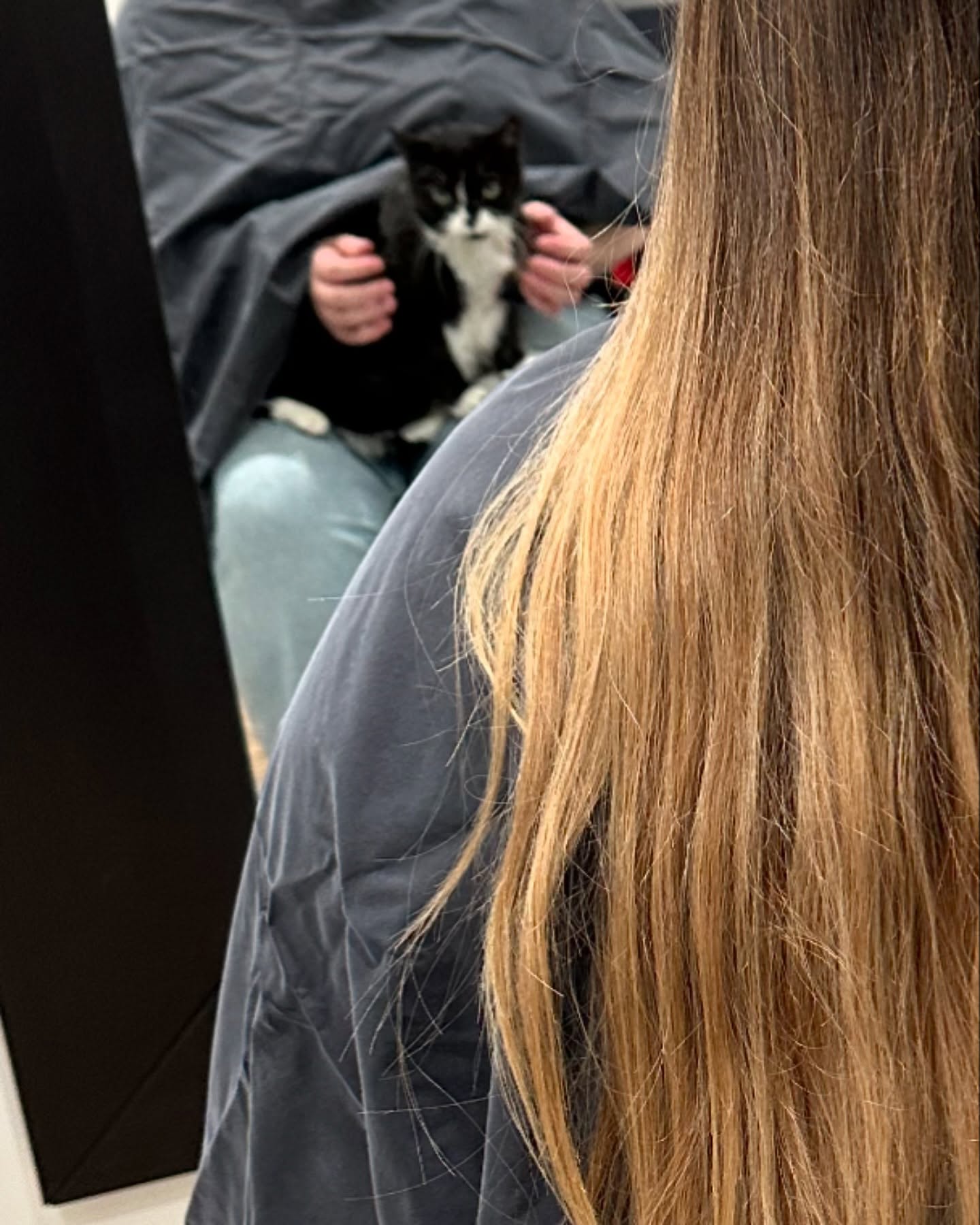 Robyn's Nest Hair Studio