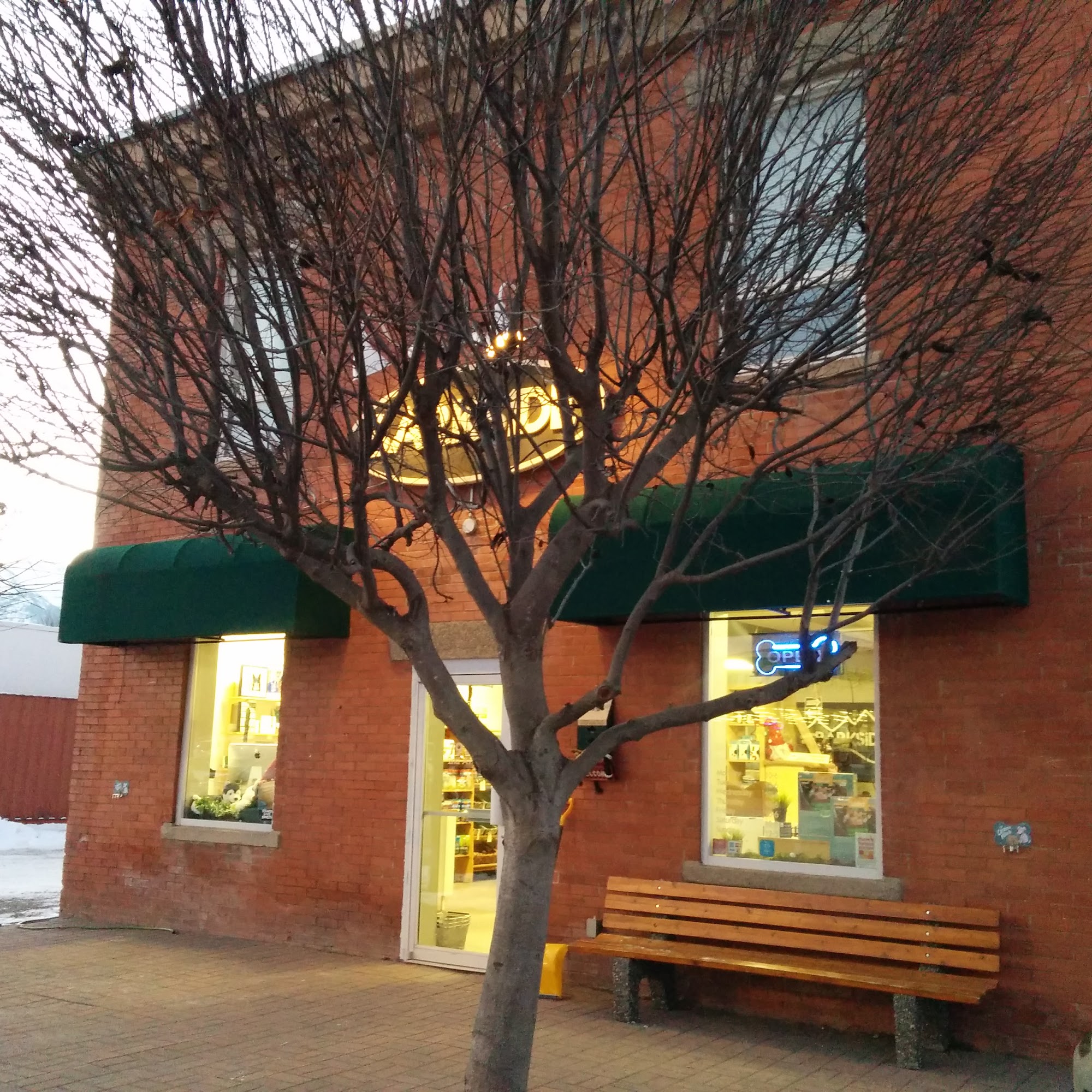 Barkside Pets Fernie