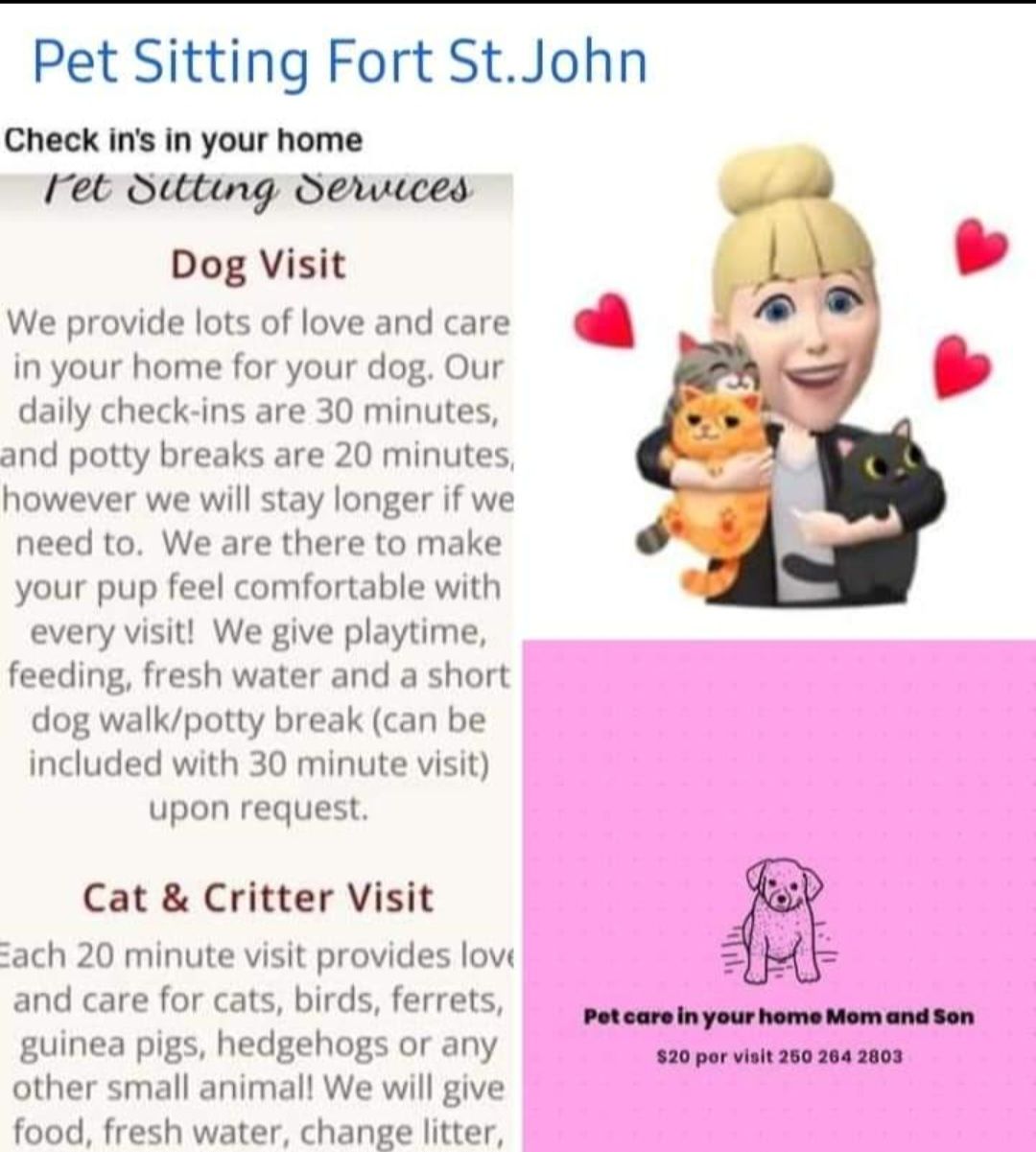 Steady Pet Care Solutions